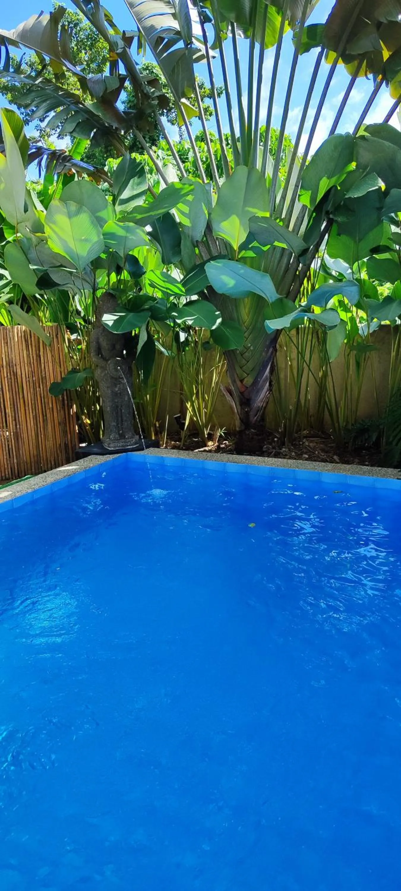 Swimming pool in Carpe Diem Villas & Resort Dive & Stay resort