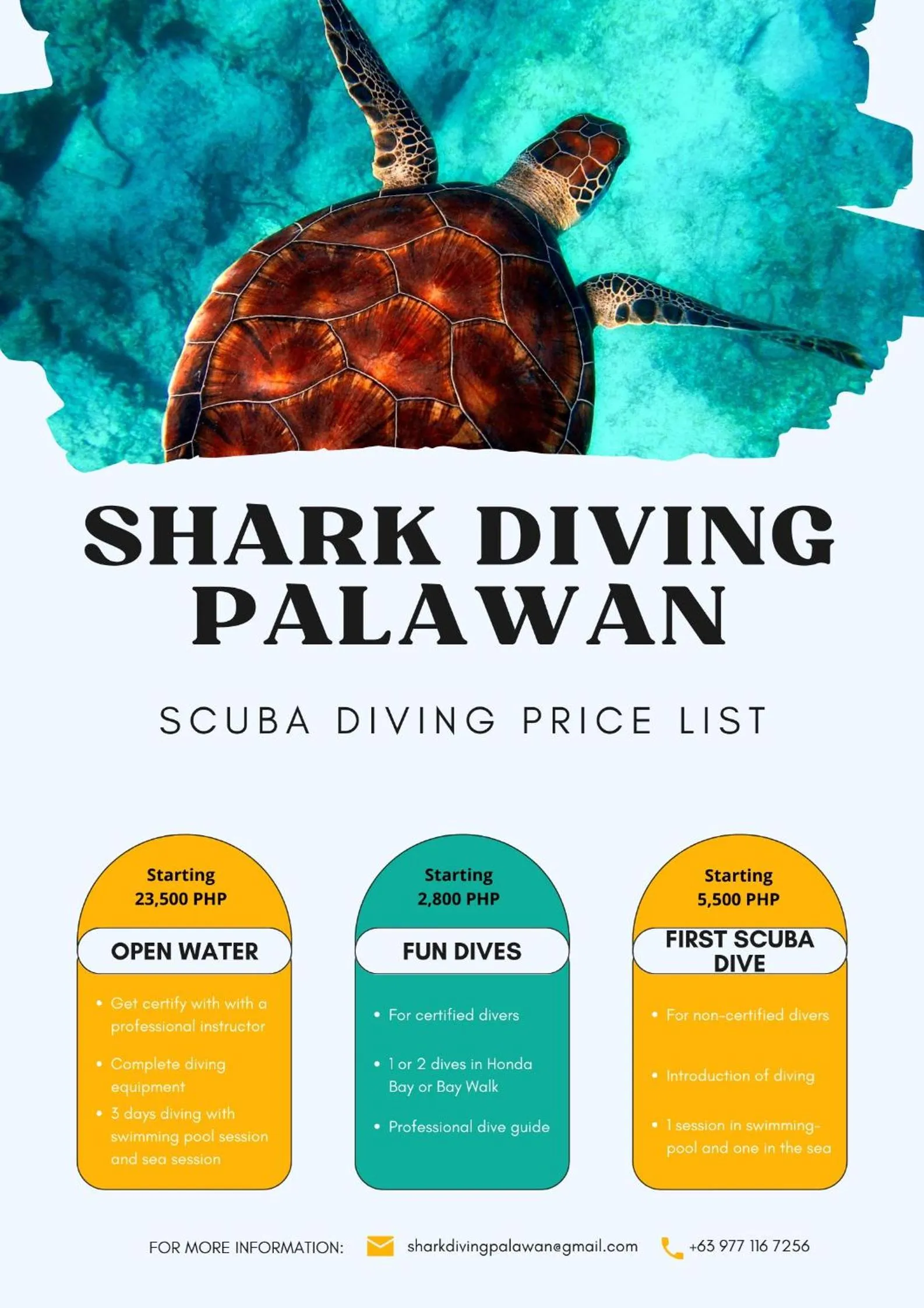 Diving in Carpe Diem Villas & Resort Dive & Stay resort