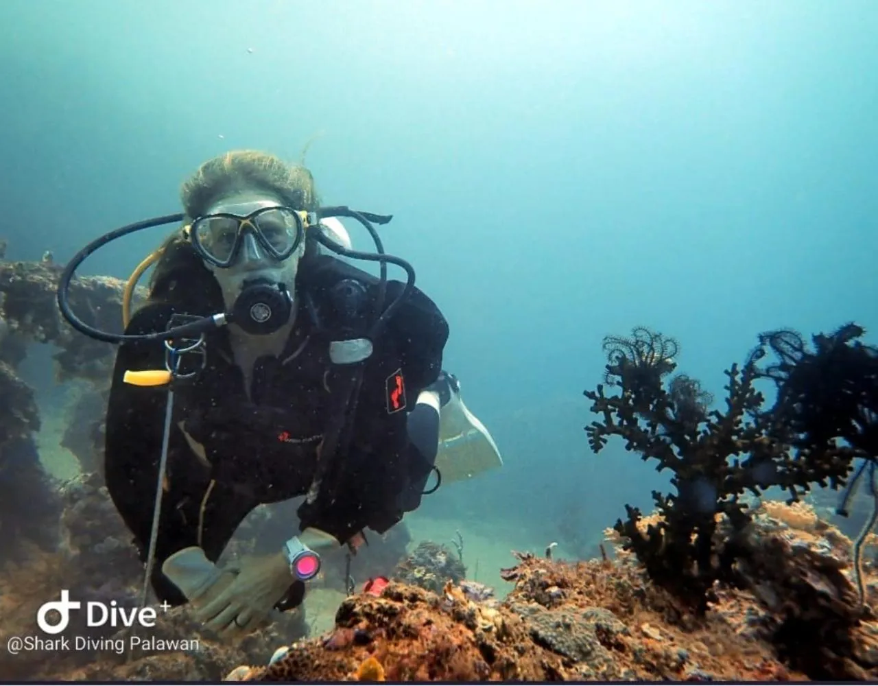 Diving in Carpe Diem Villas & Resort Dive & Stay resort