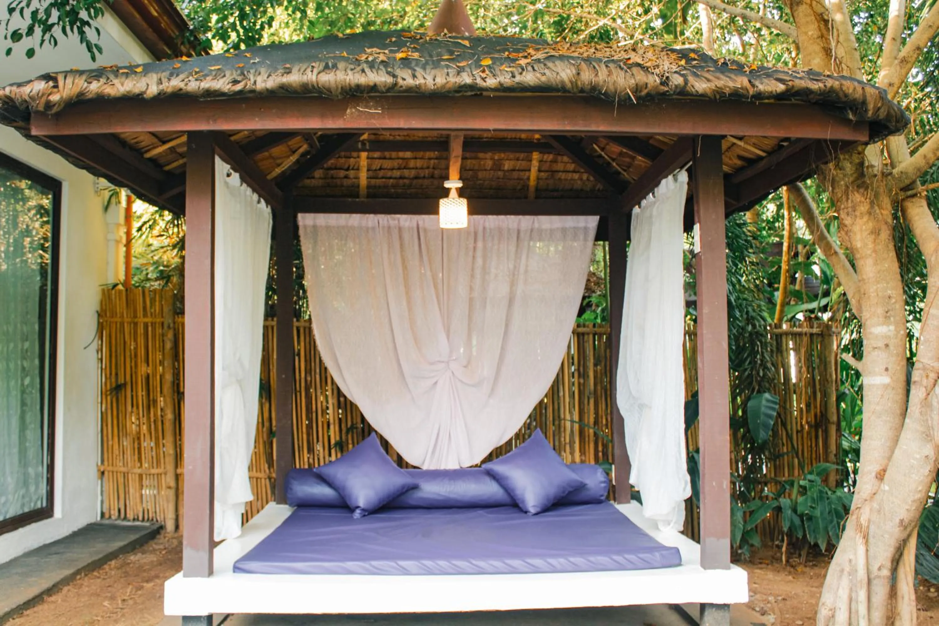 Garden in Carpe Diem Villas & Resort Dive & Stay resort