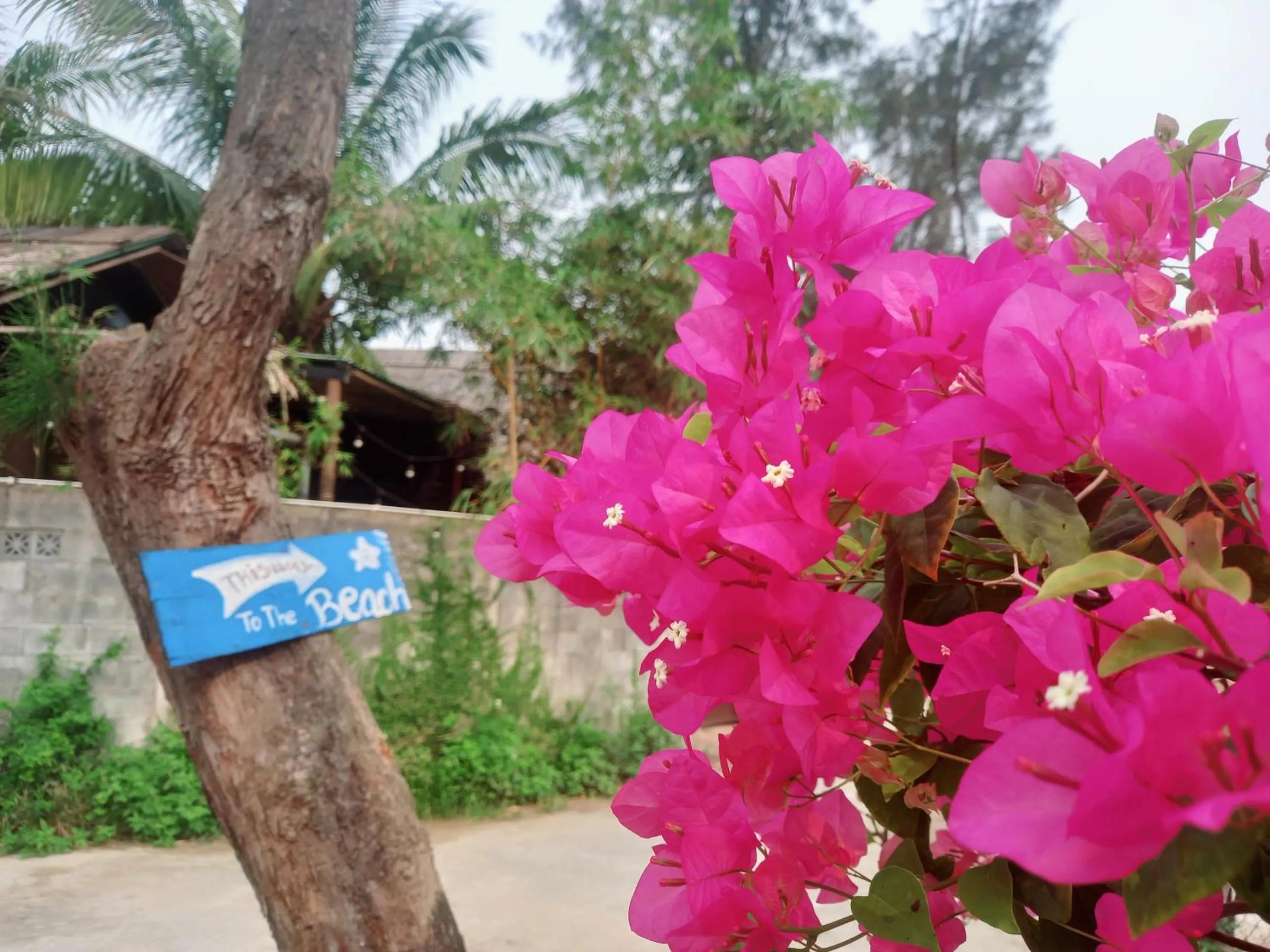 Property logo or sign in Ngoc An Bang Villa