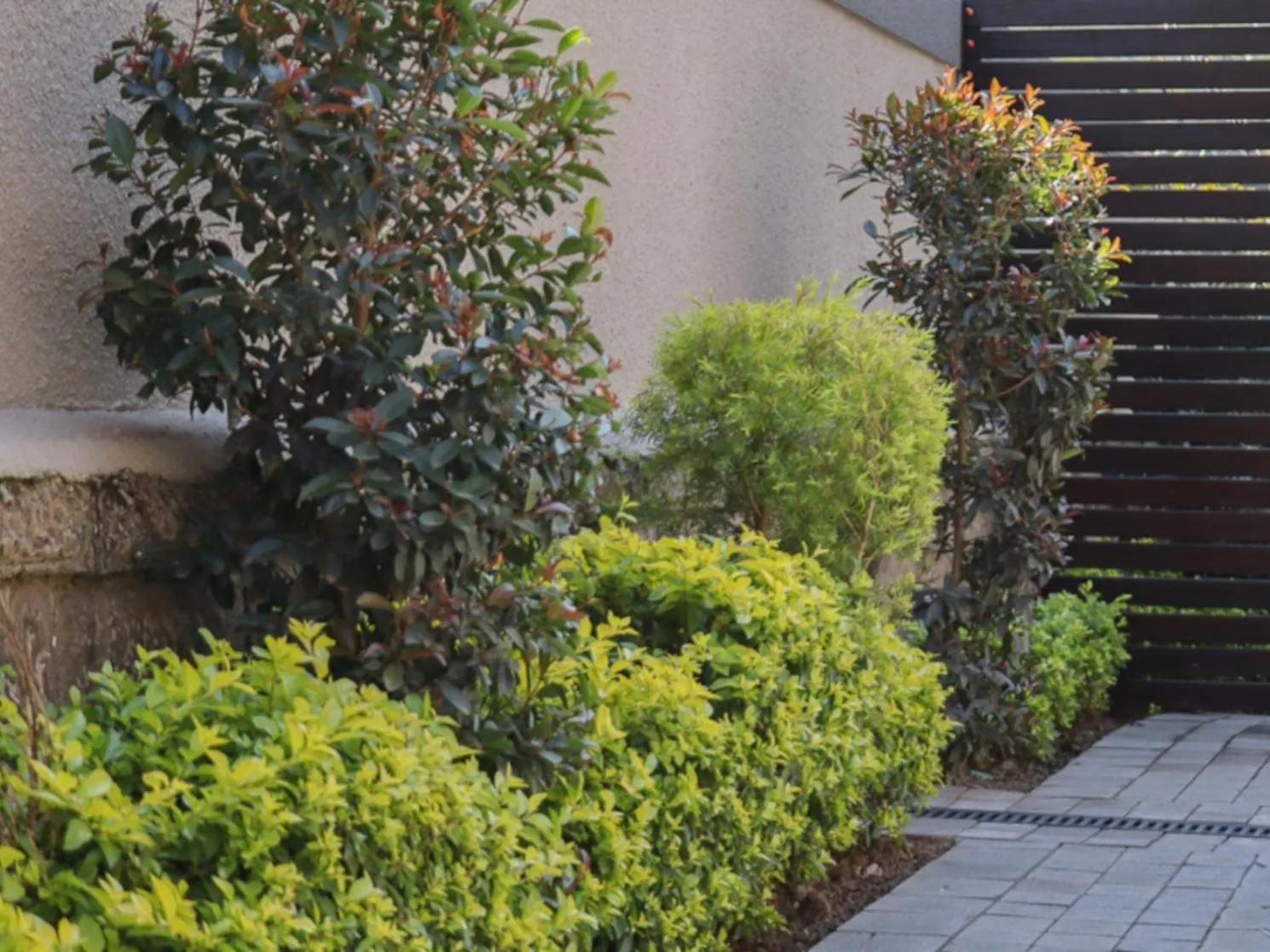 Garden in @ 21 Guest House