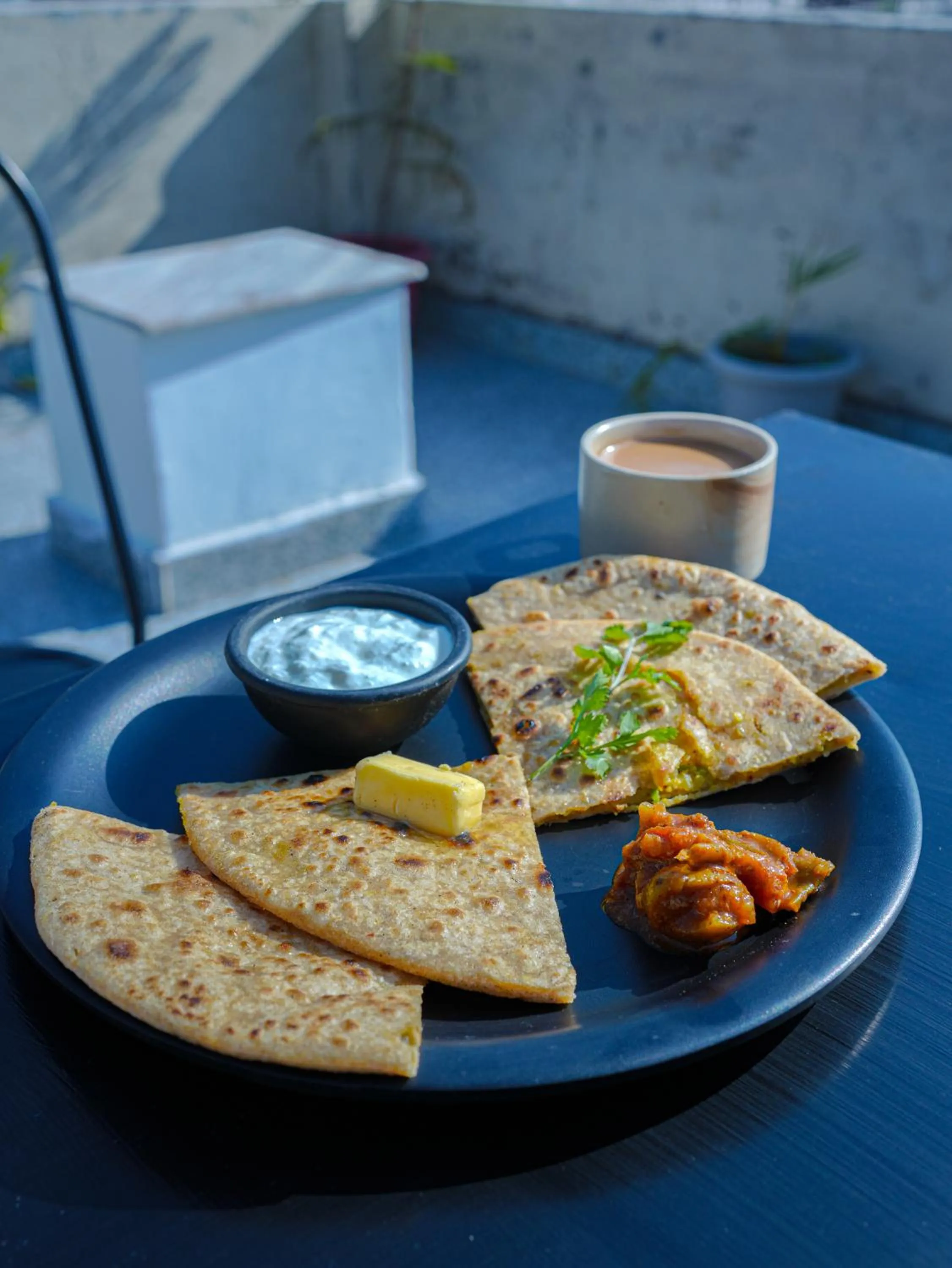 Skyard Premium, Tapovan