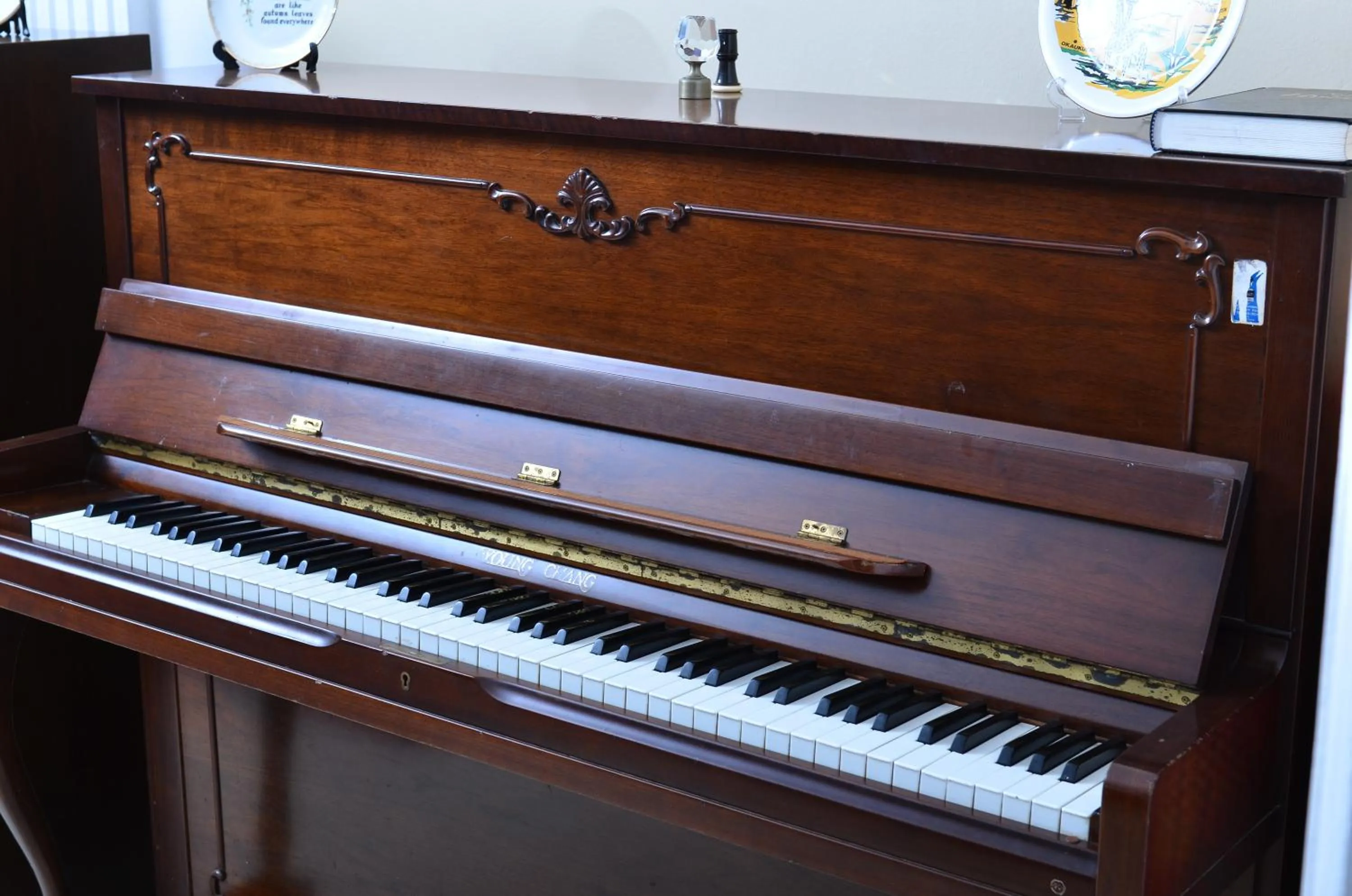 Entertainment in Royal Victoria House Ltd