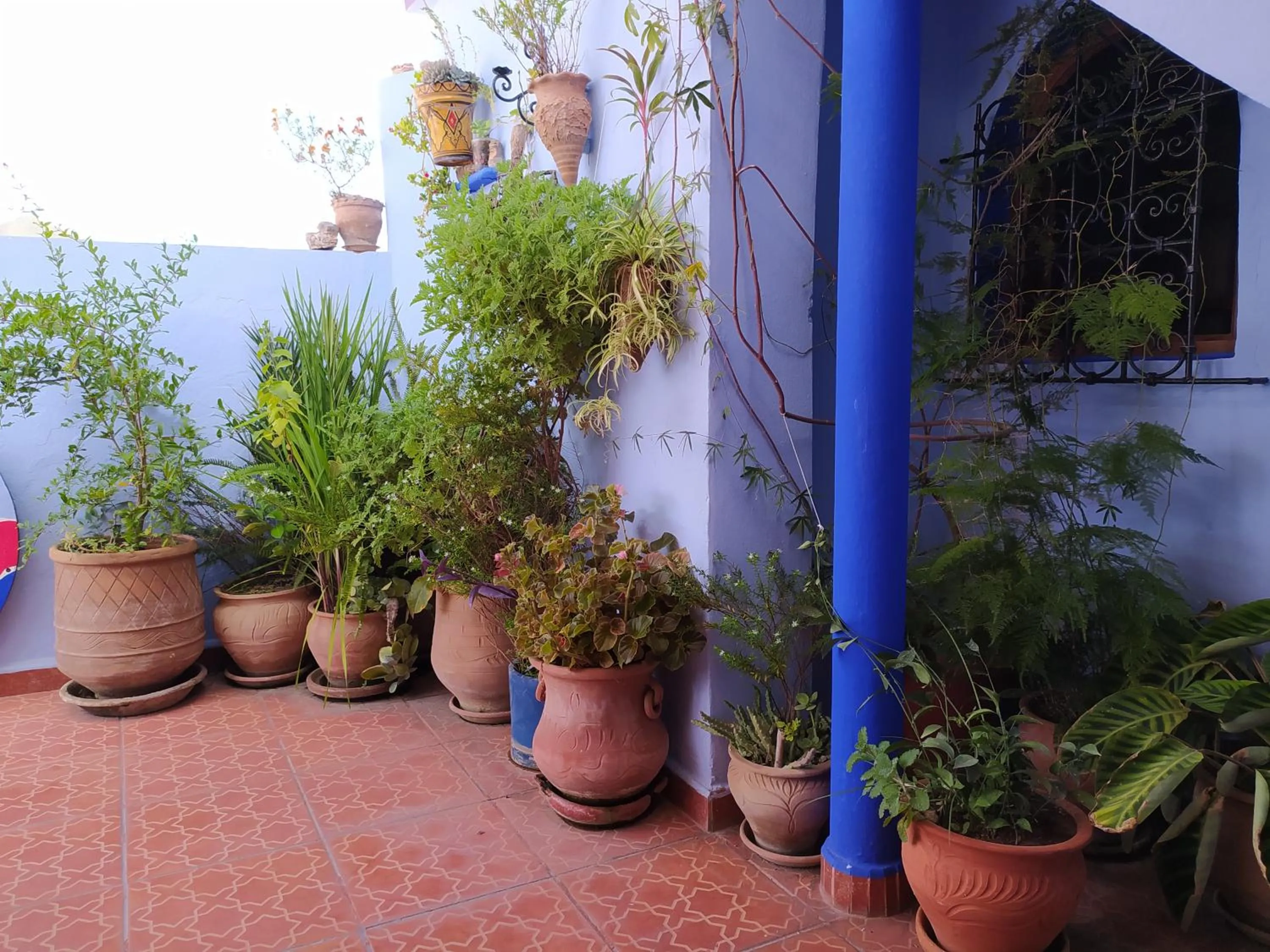 Day in Hotel Gernika