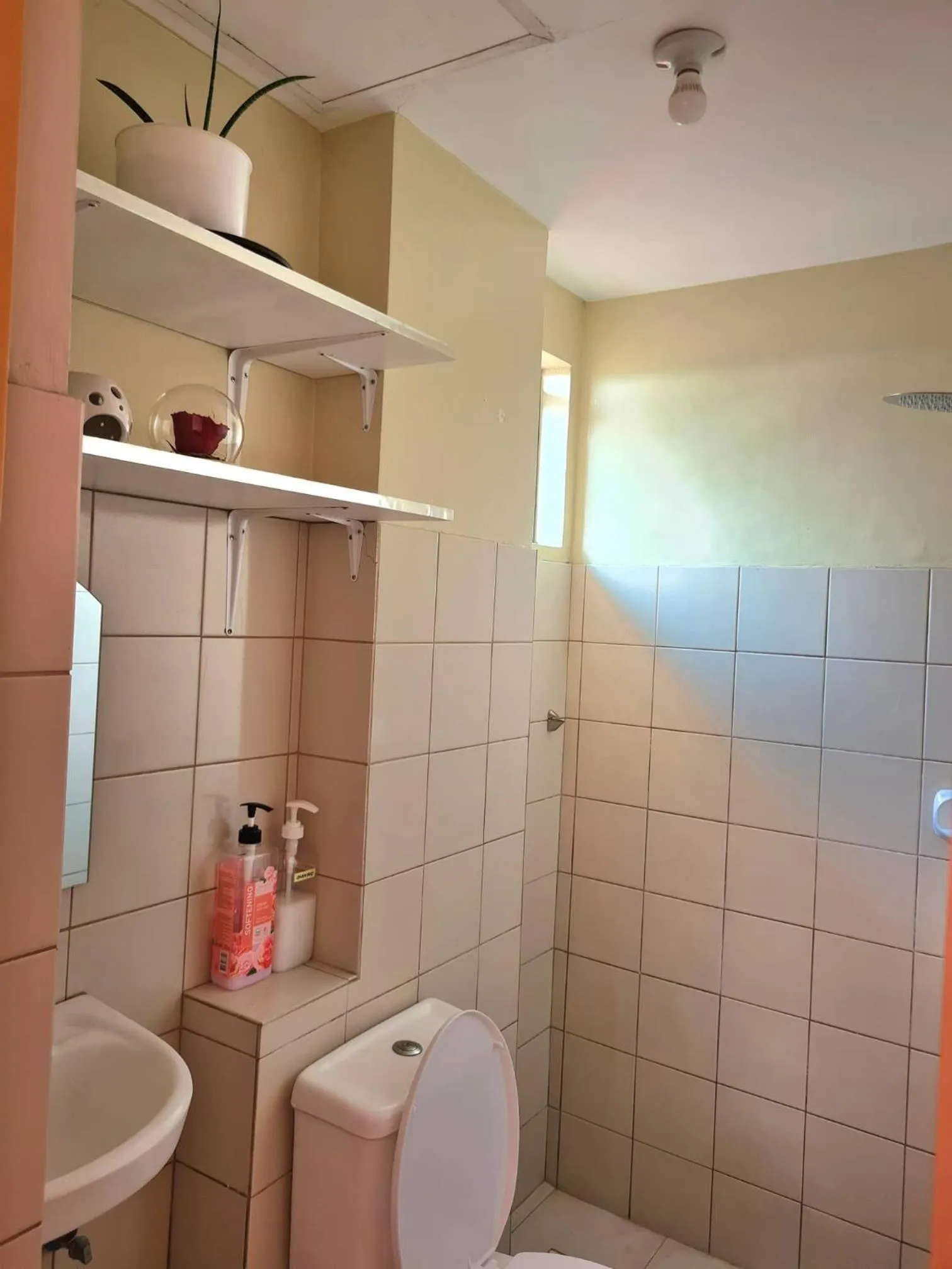 Pet Friendly Condo for Rent in Valley Mansions