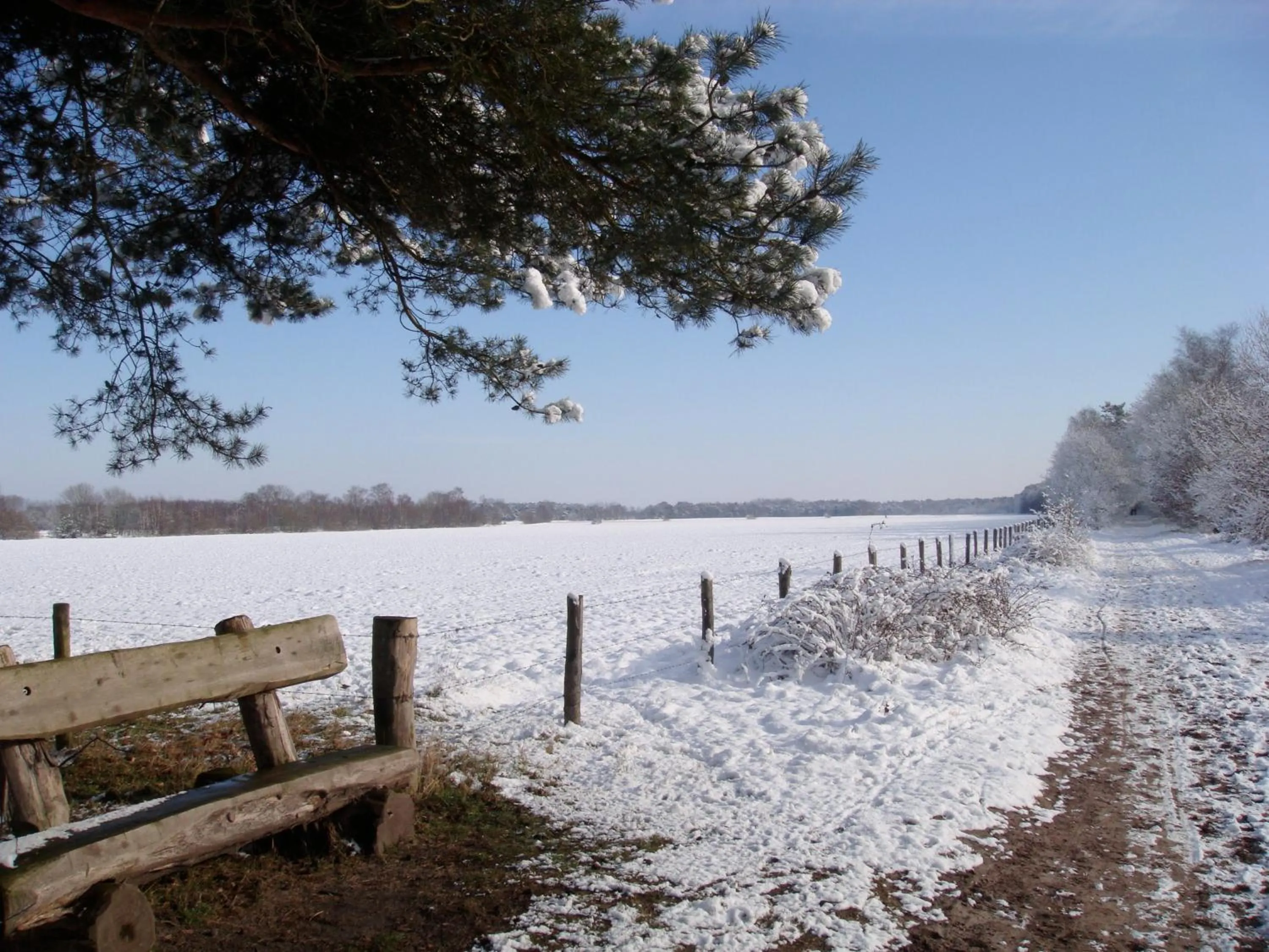 Winter in B&B De Grote Plaats