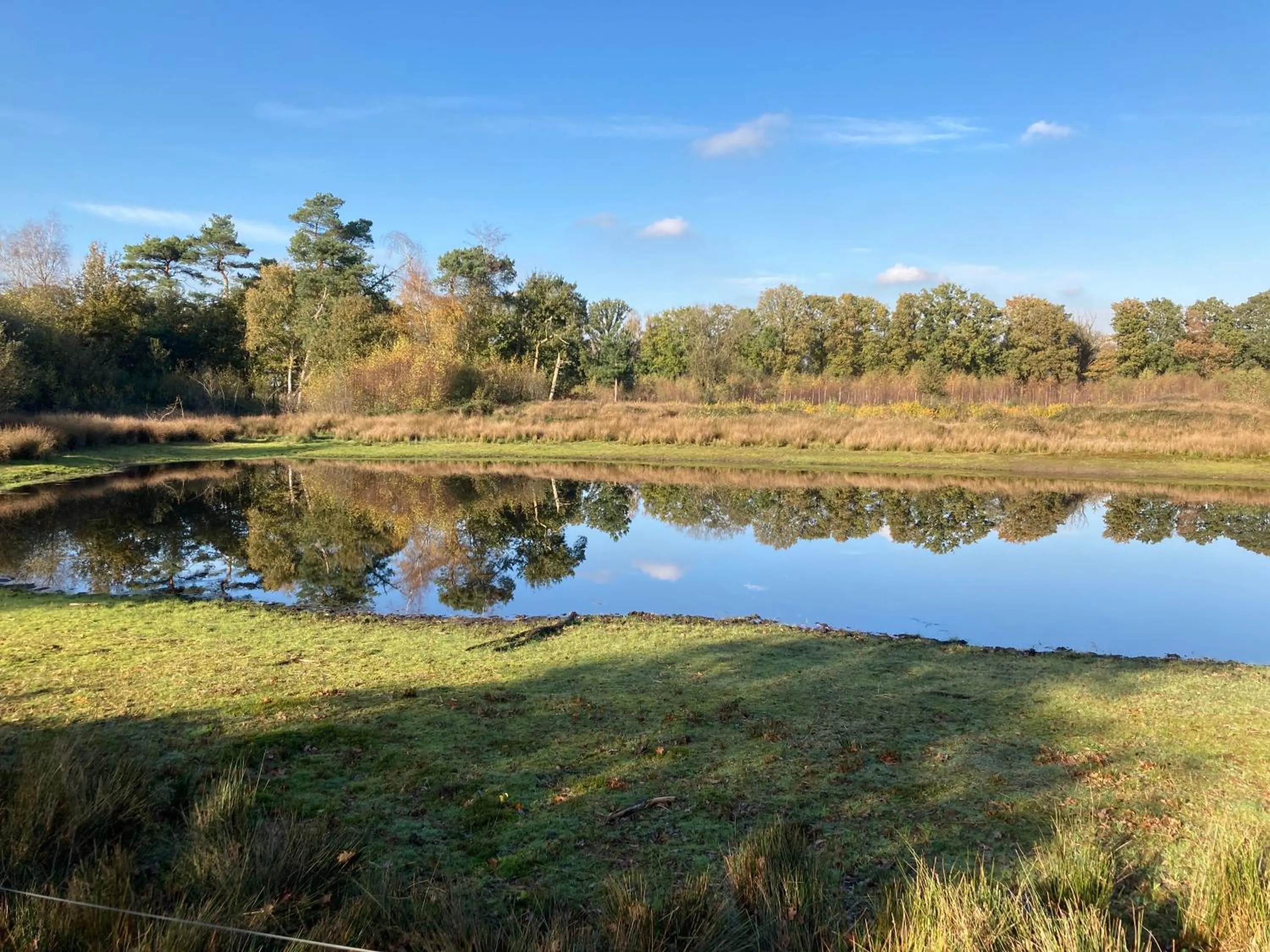 Natural landscape in B&B De Grote Plaats