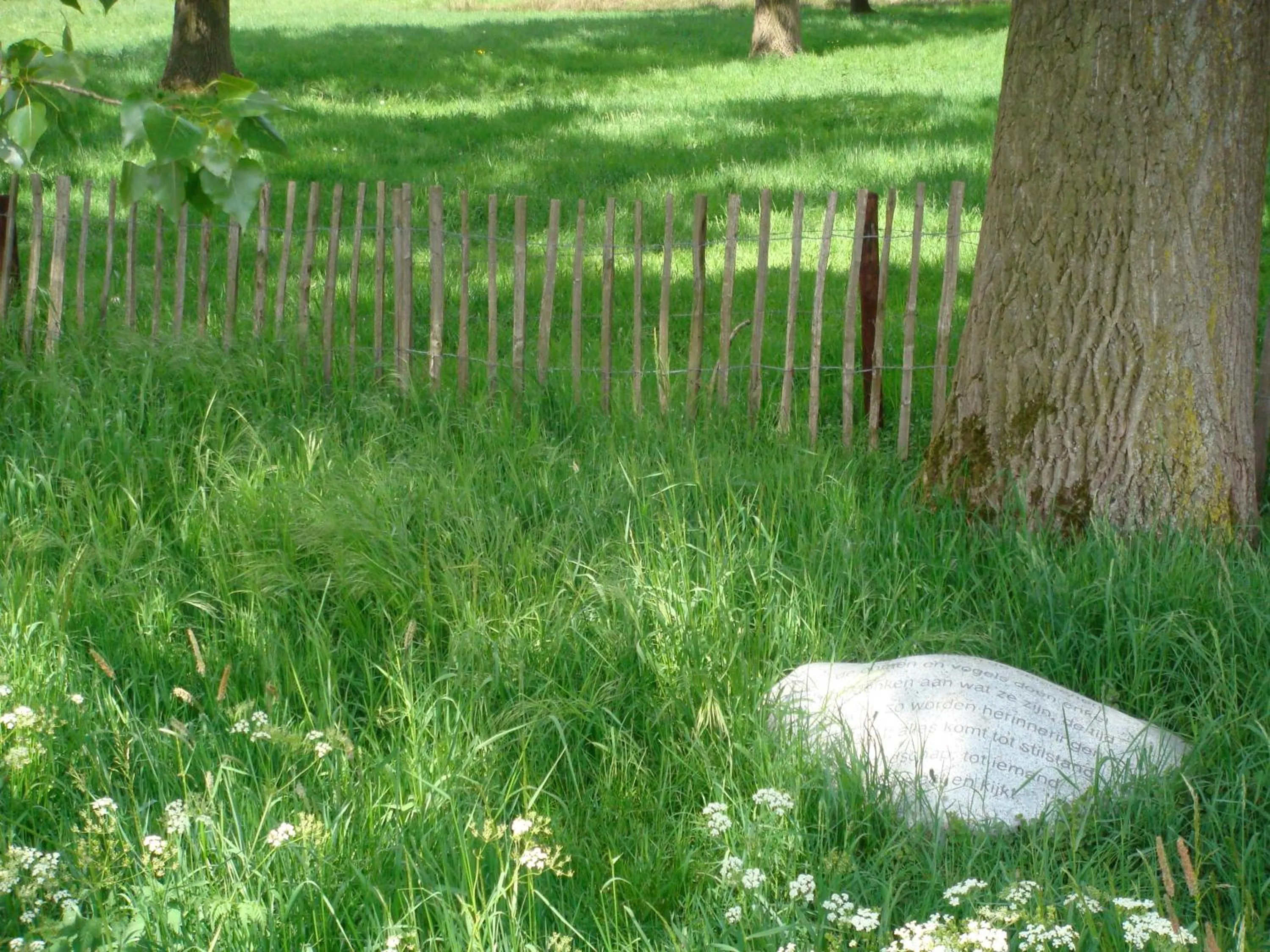 Nearby landmark in B&B De Grote Plaats