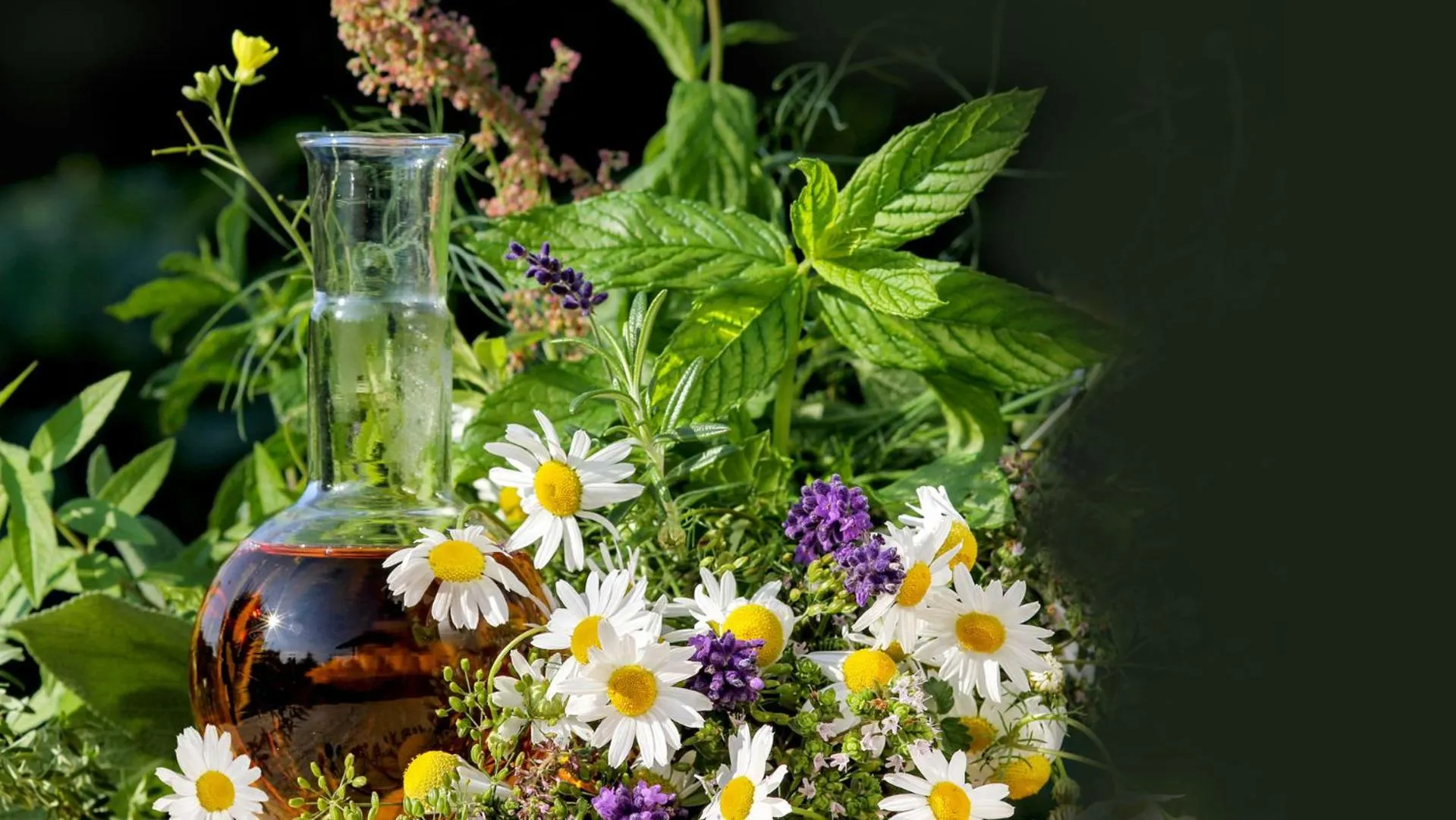 Summer in Alpine Lodge Klösterle am Arlberg