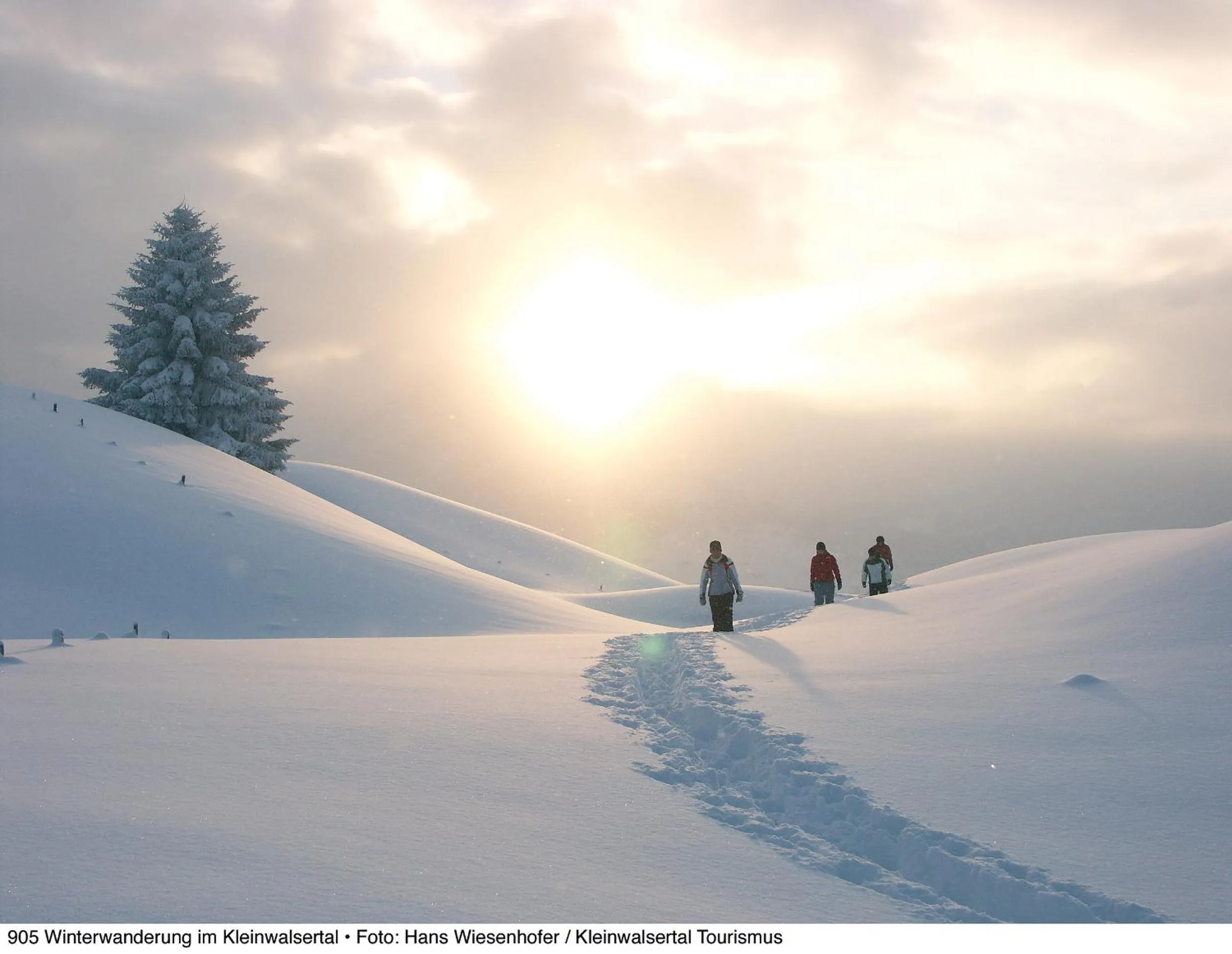 Hiking in Alpine Lodge Klösterle am Arlberg