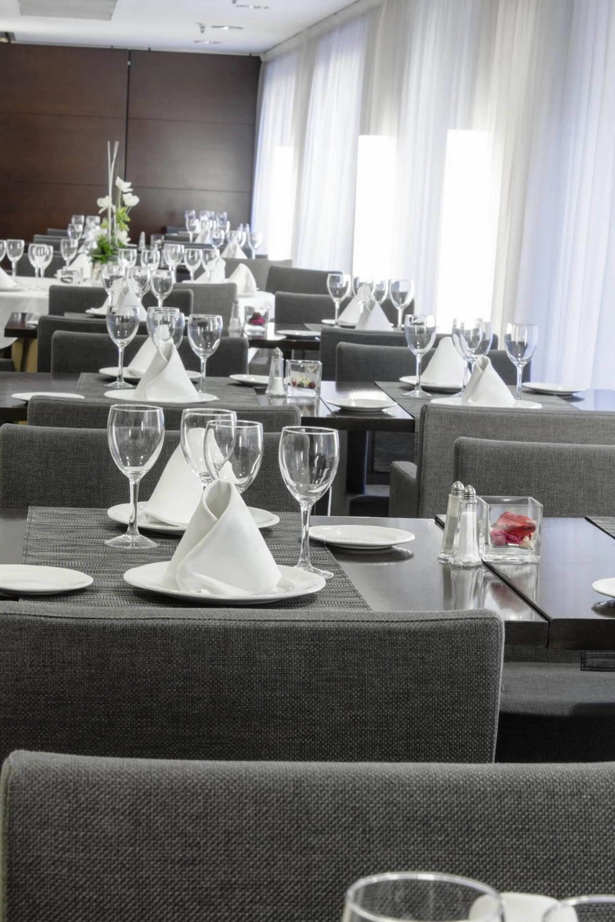 Restaurant/places to eat in Zenit Don Yo