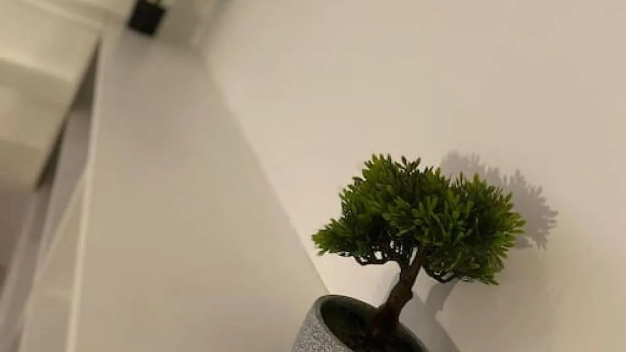 Other in De Parys Premier Lodge 3 in Bedford