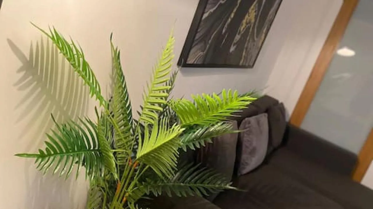 Other in De Parys Penthouse 5 in Bedford