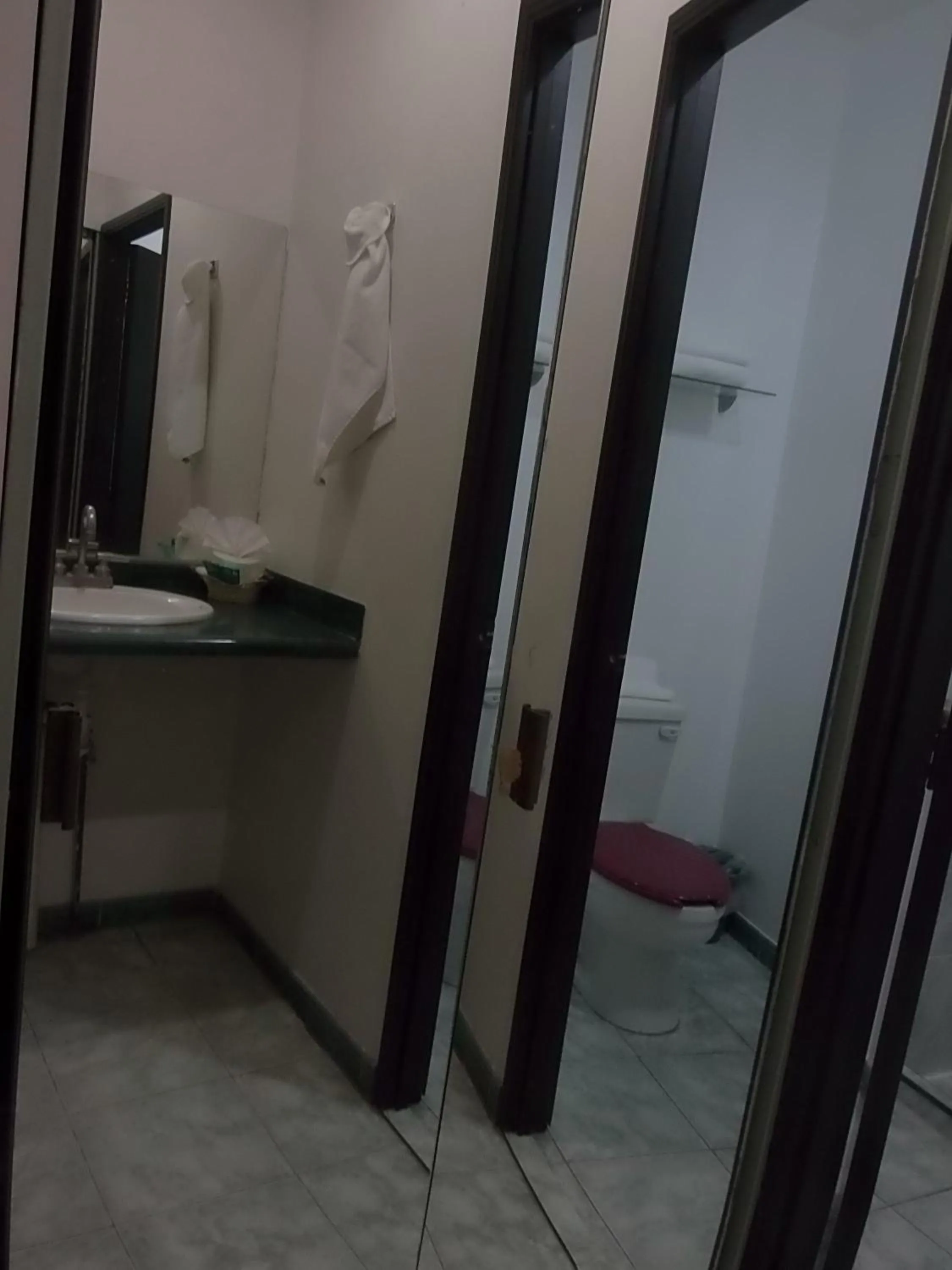 Bathroom in Hotel Raldos Inn