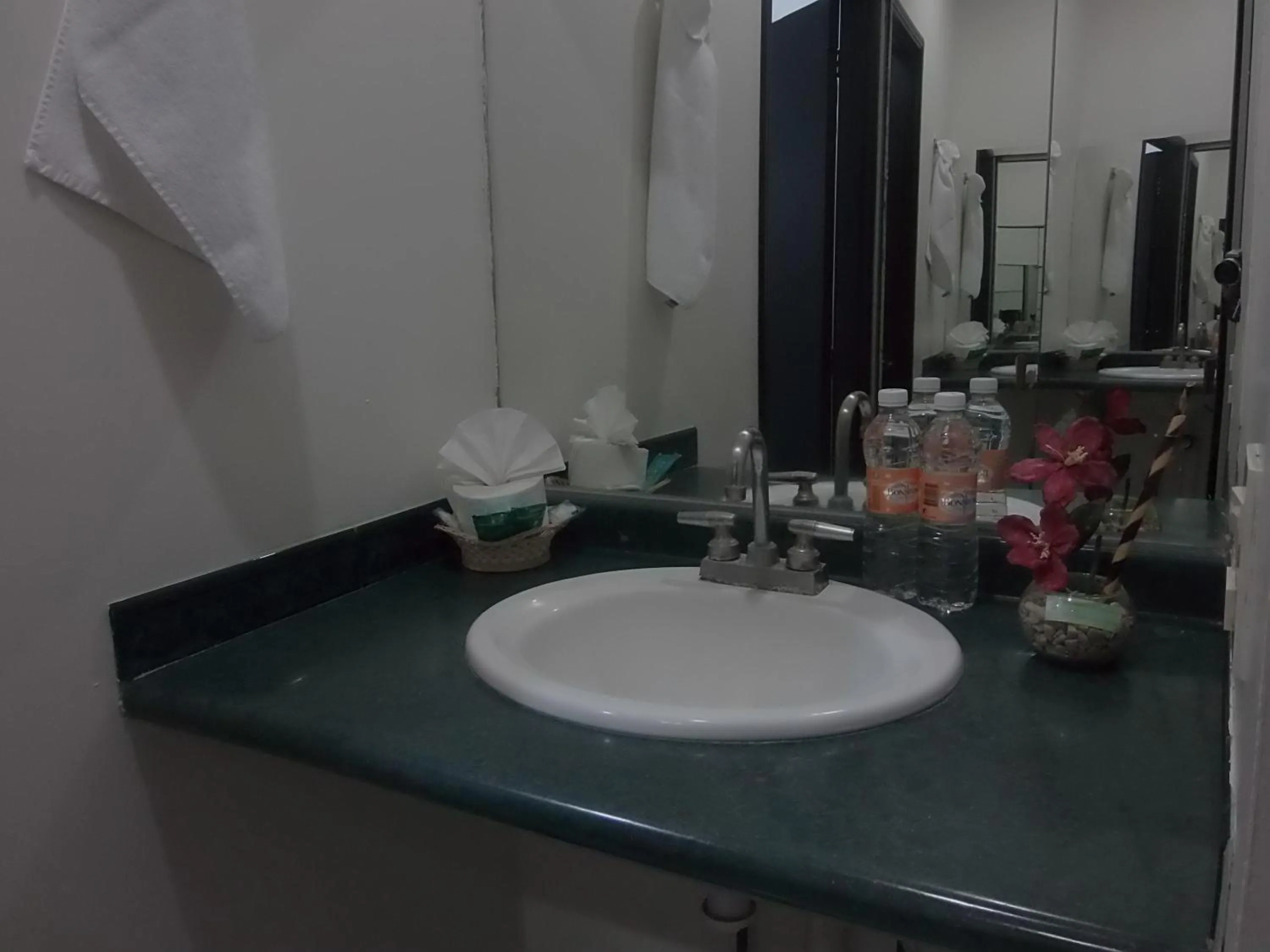 Bathroom in Hotel Raldos Inn