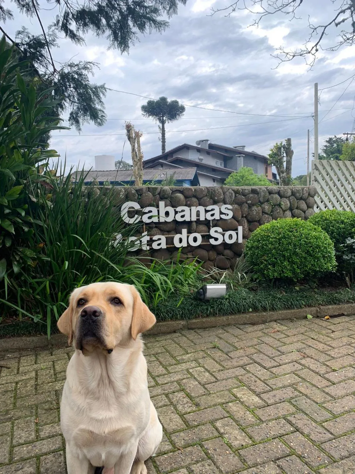 pet friendly in Pousada Cabanas Rota do Sol