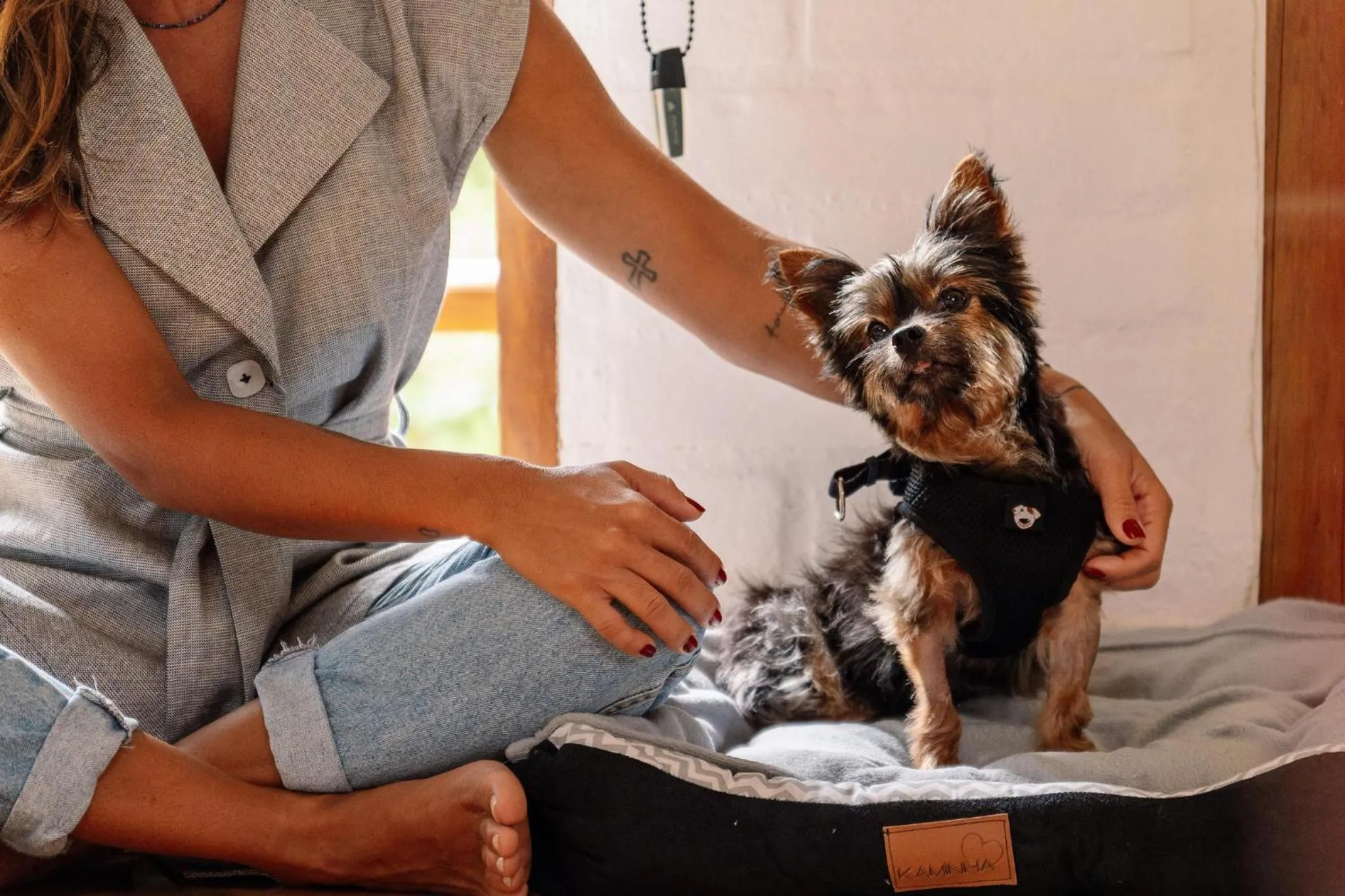 Pets in Pousada Casa Campestre