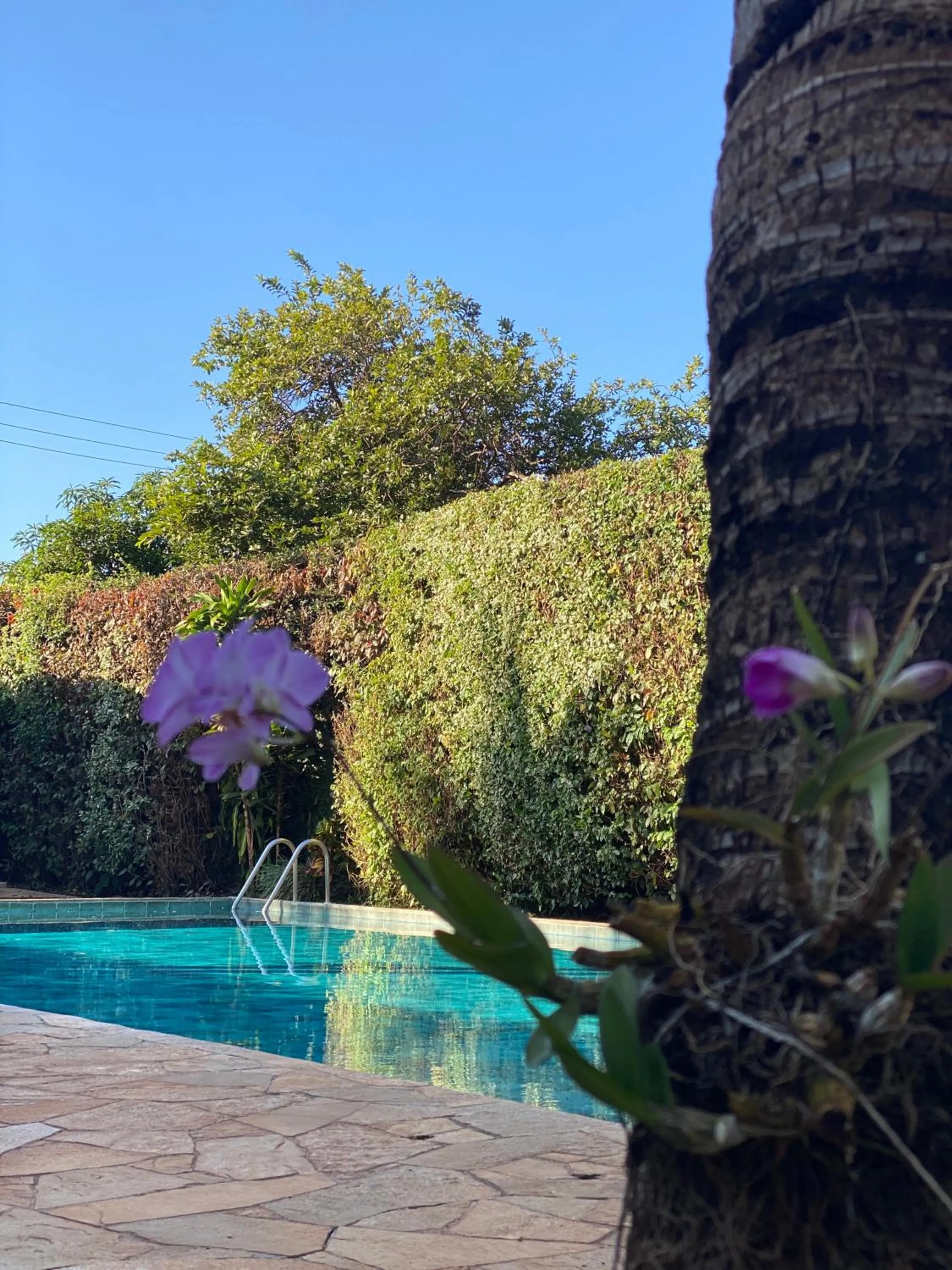 Garden in Hotel Pousada Ourinhos