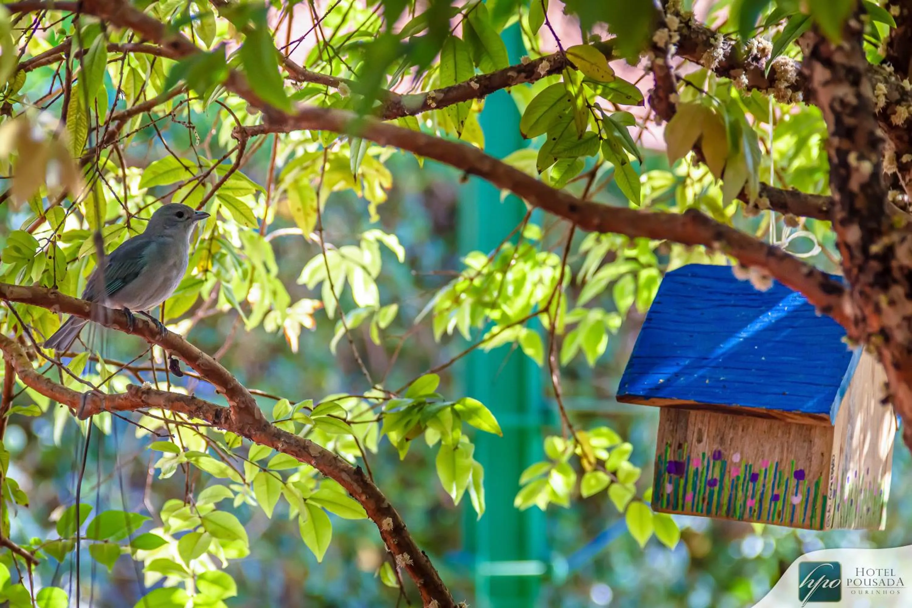 Garden in Hotel Pousada Ourinhos