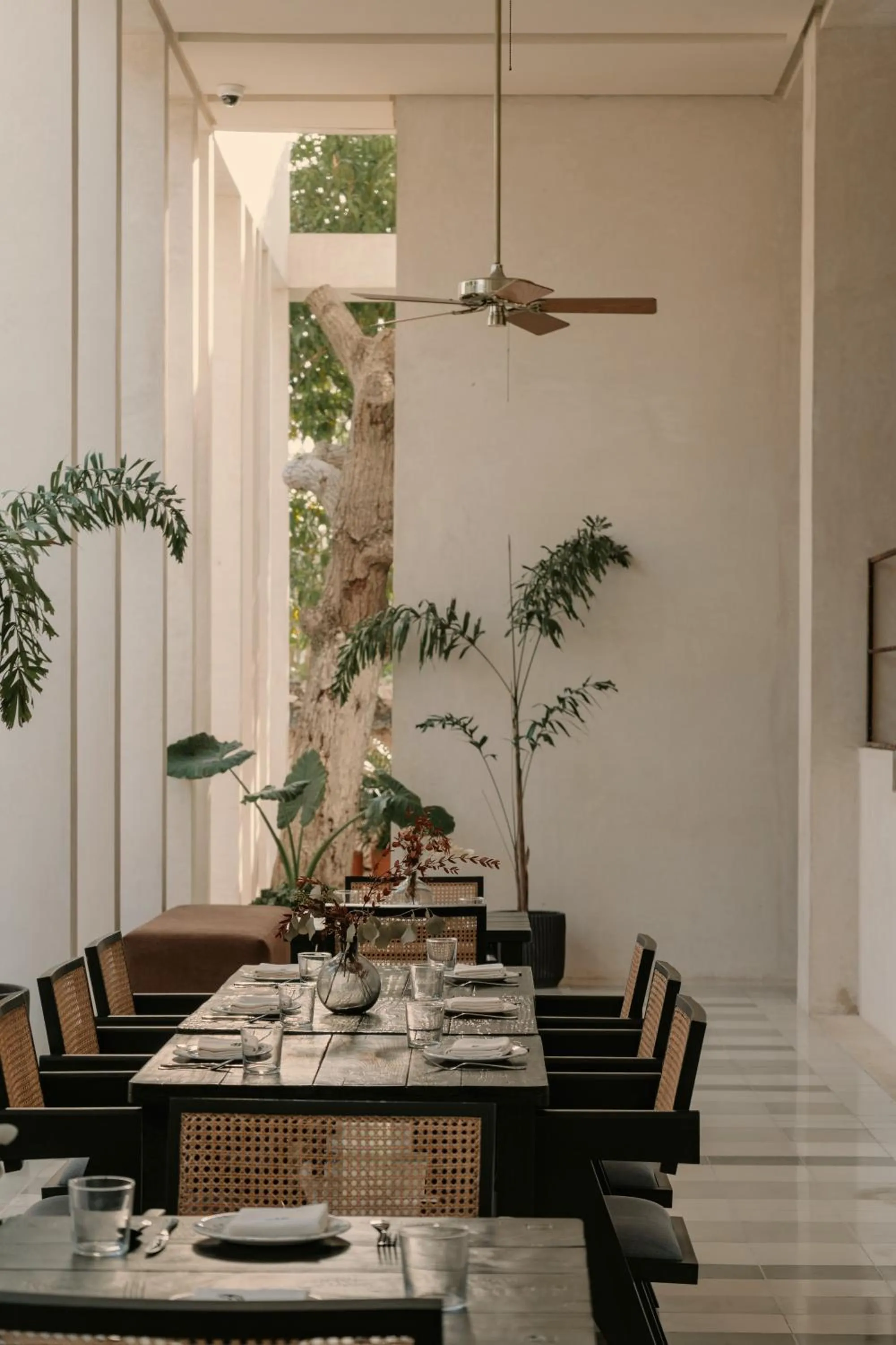 Restaurant/places to eat in Hotel Sureño Yucatan