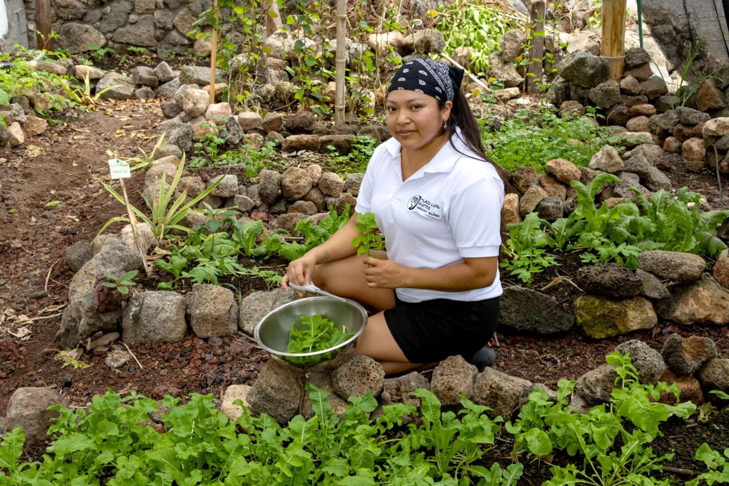 Garden in Plaza Luna Suites