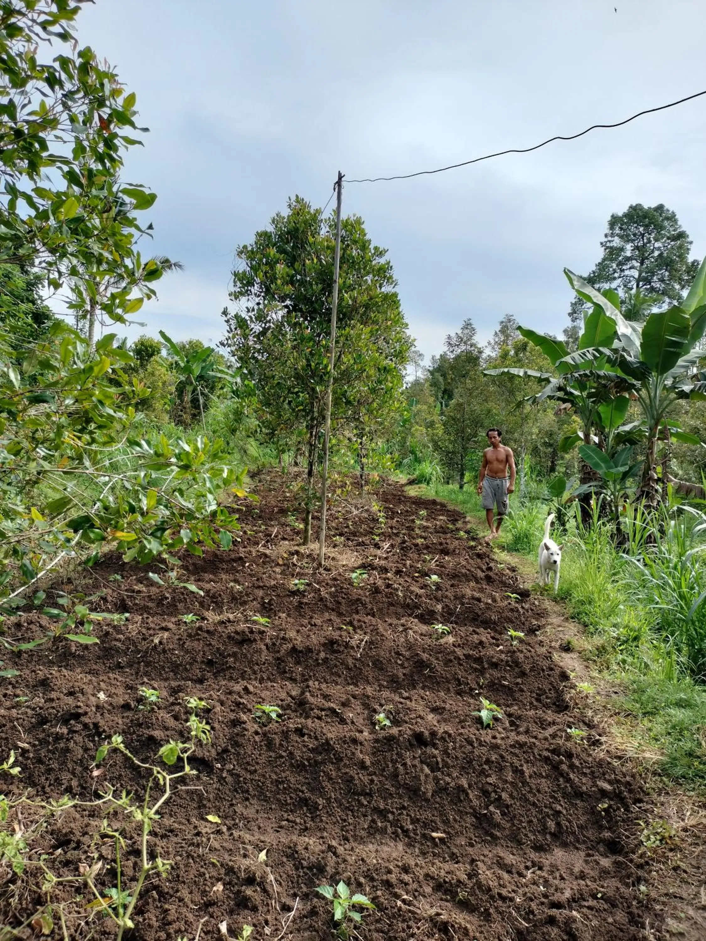 Natural landscape in D'kailash Retreat