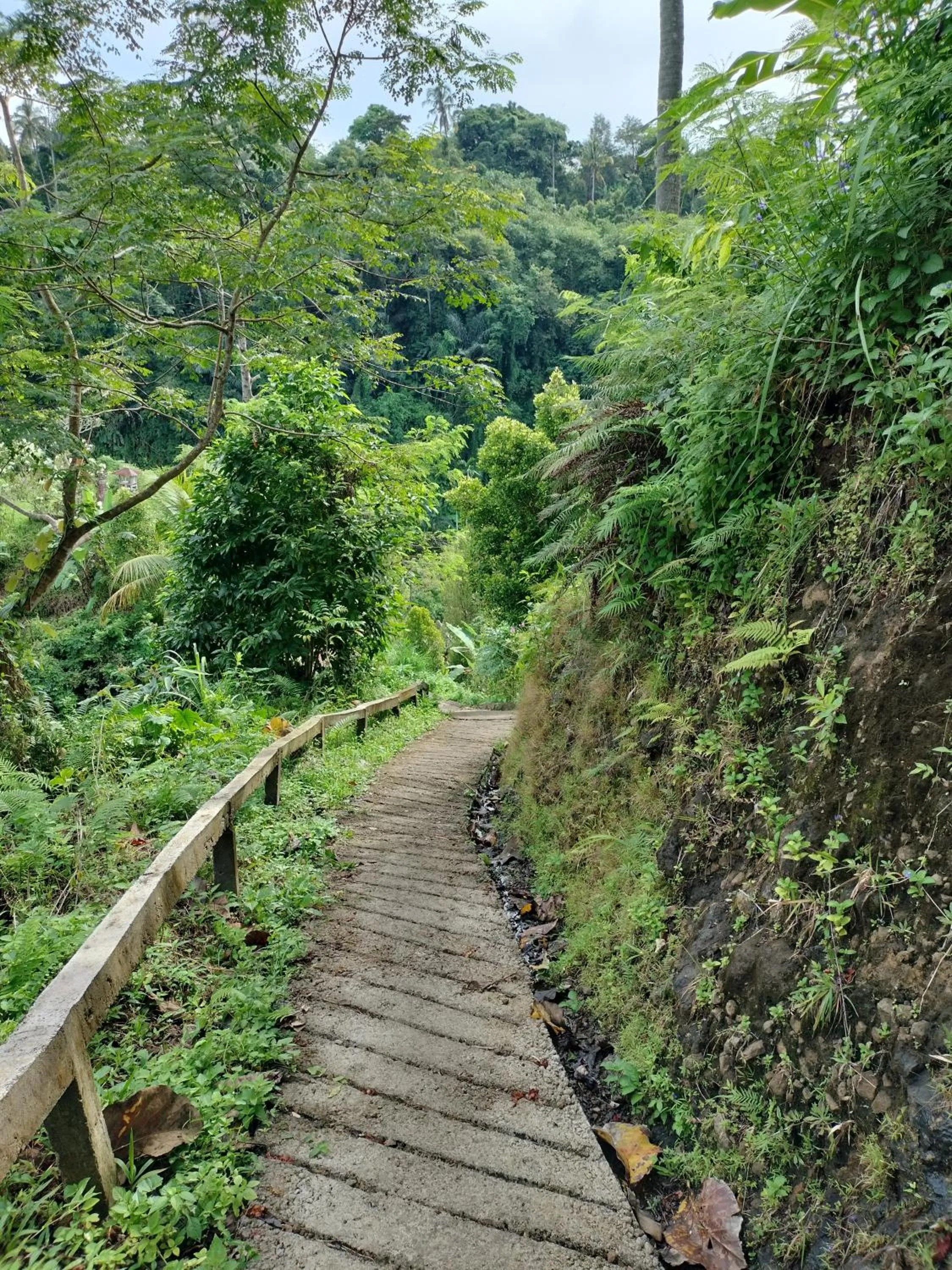 Natural landscape in D'kailash Retreat