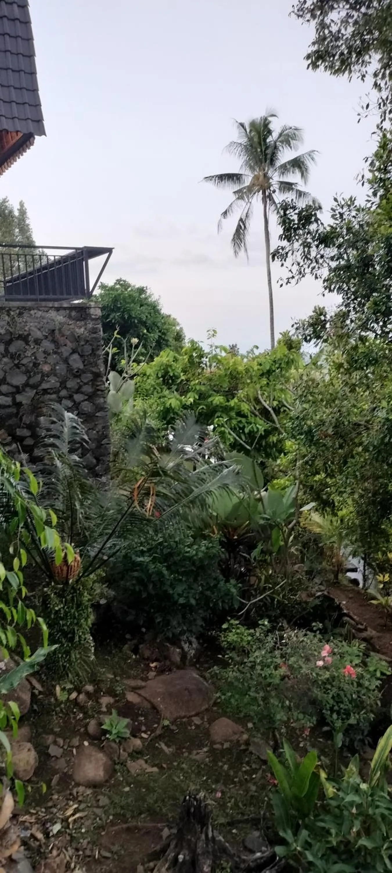 Garden in D'kailash Retreat