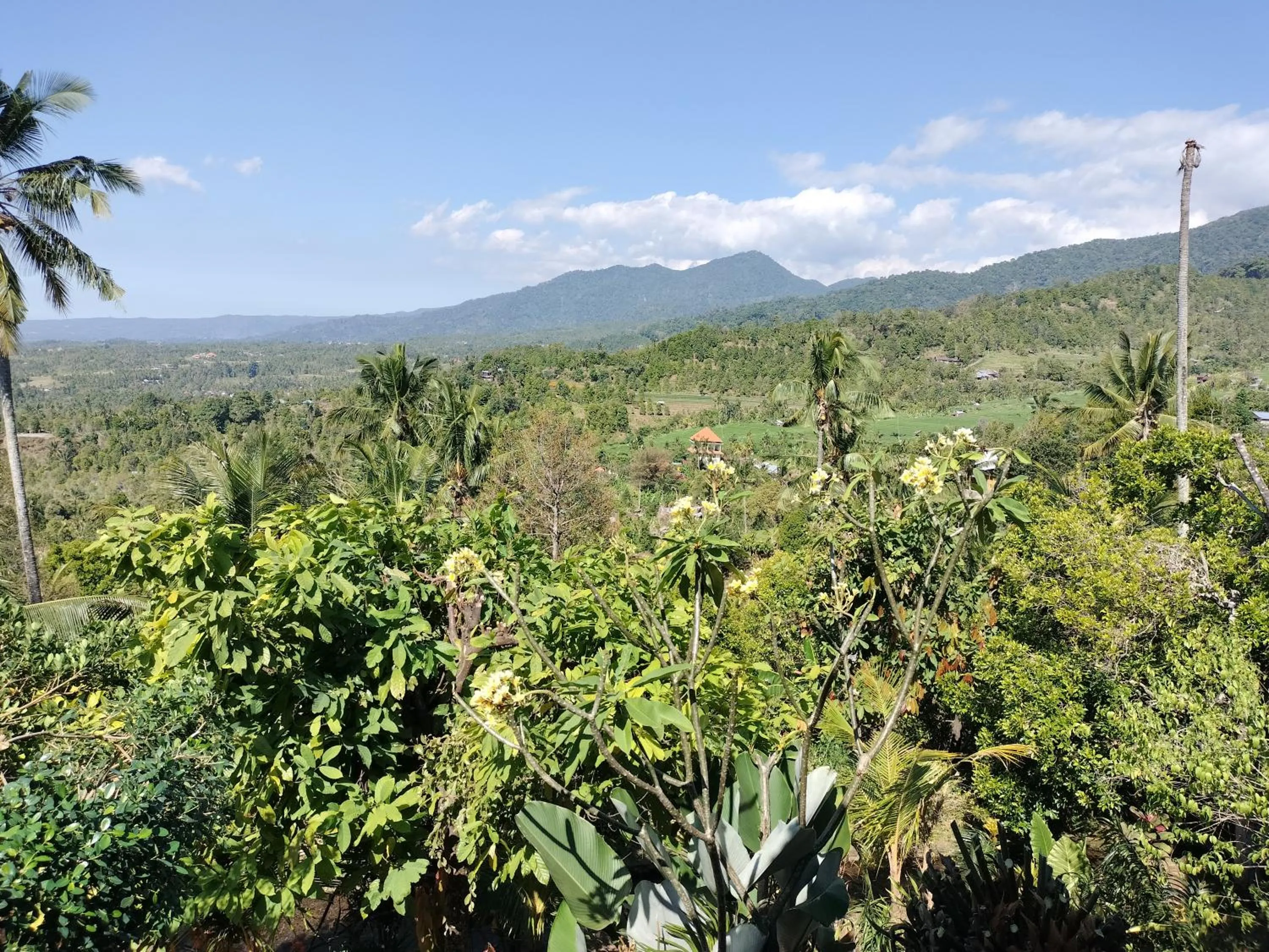 Natural landscape in D'kailash Retreat
