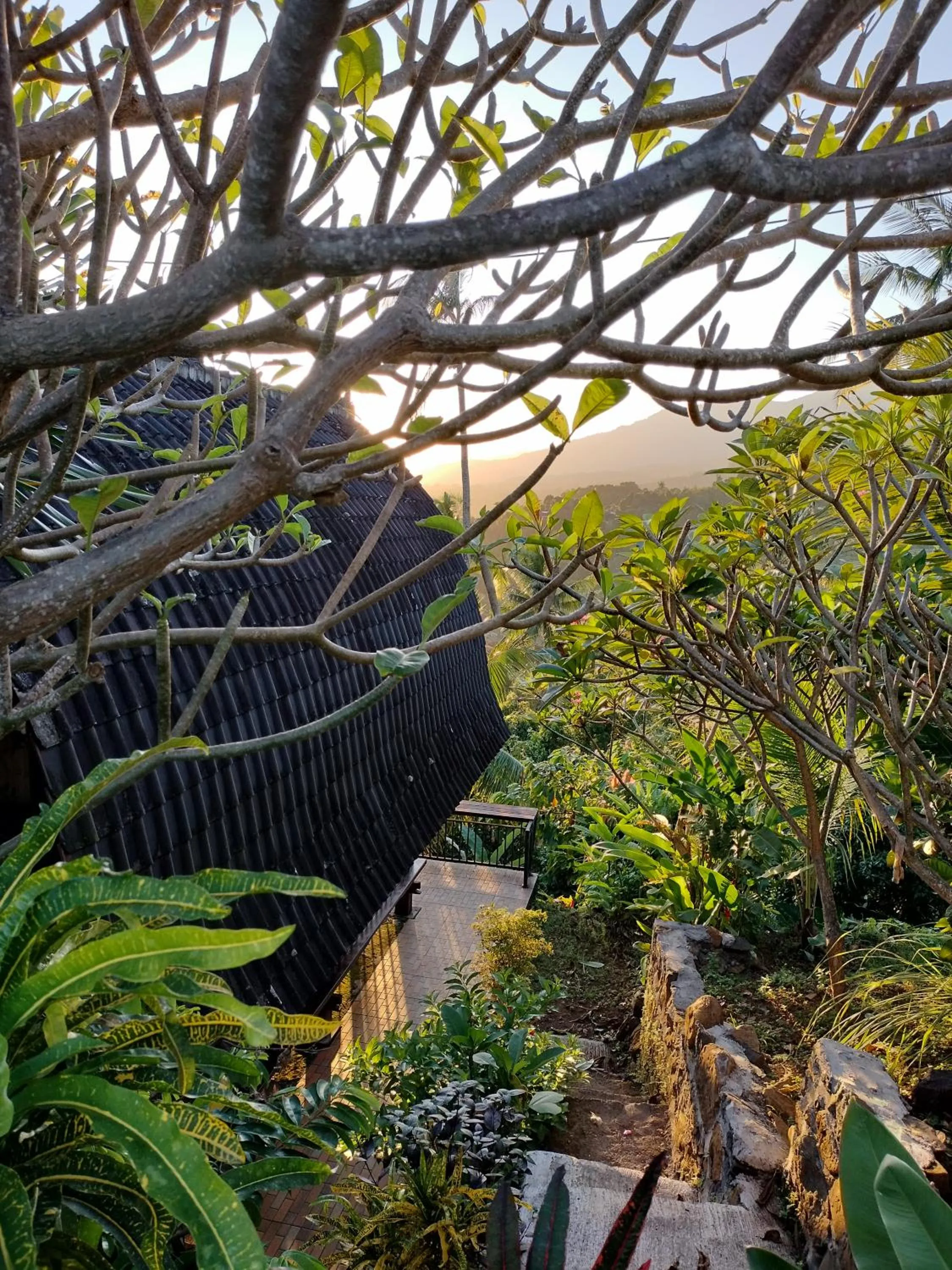 Natural landscape in D'kailash Retreat