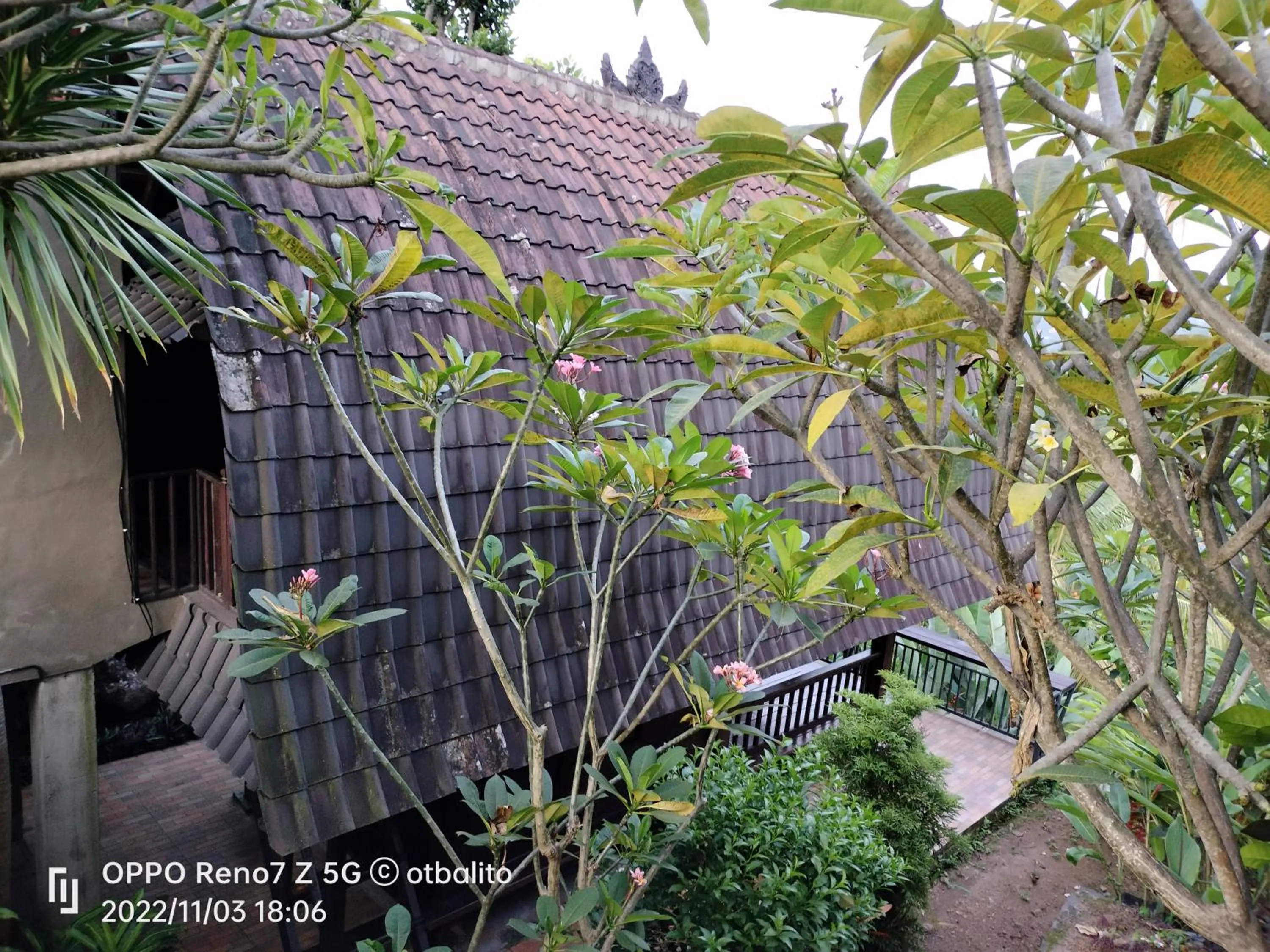 Property building in D'kailash Retreat