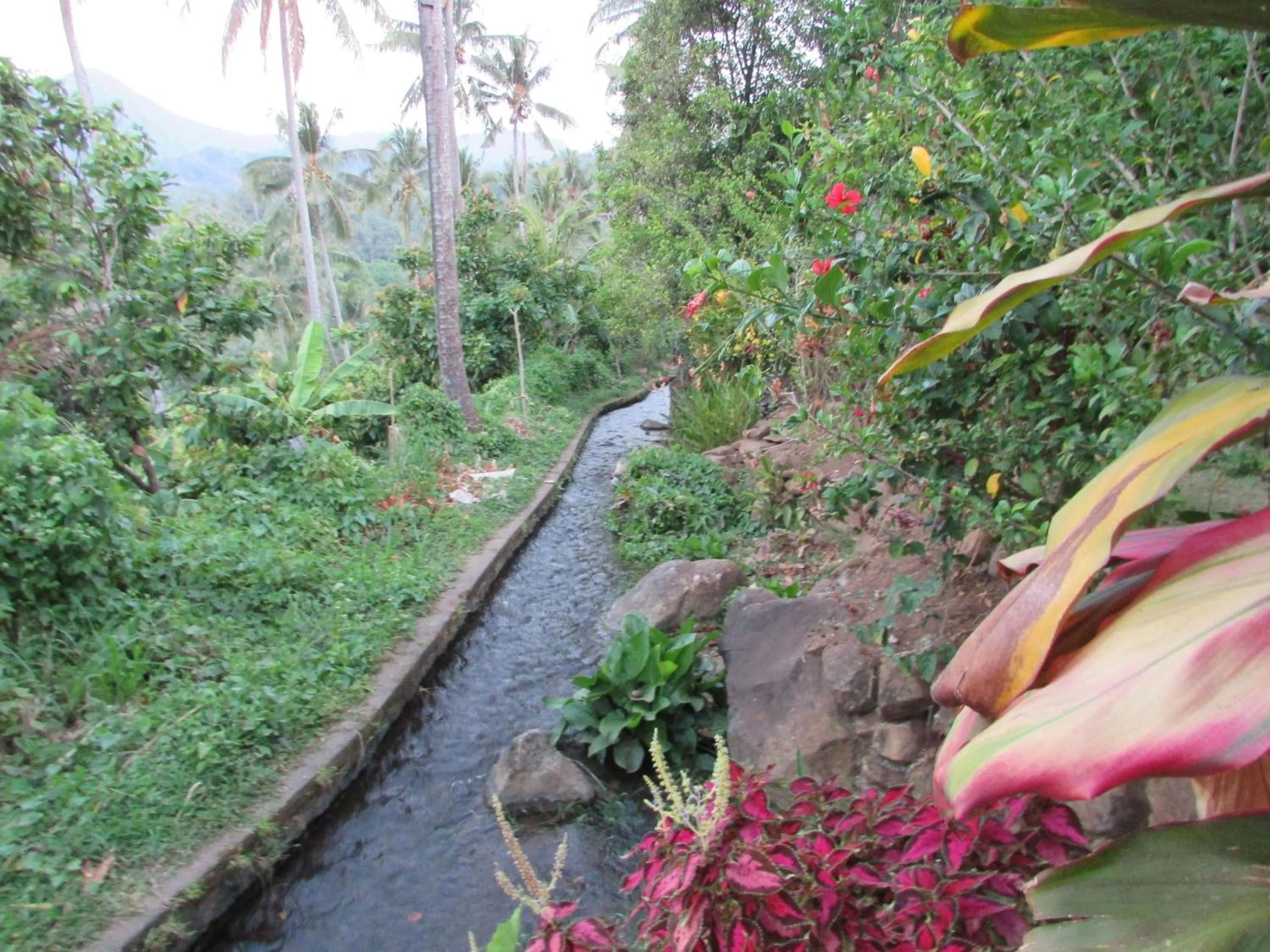 Natural landscape in D'kailash Retreat