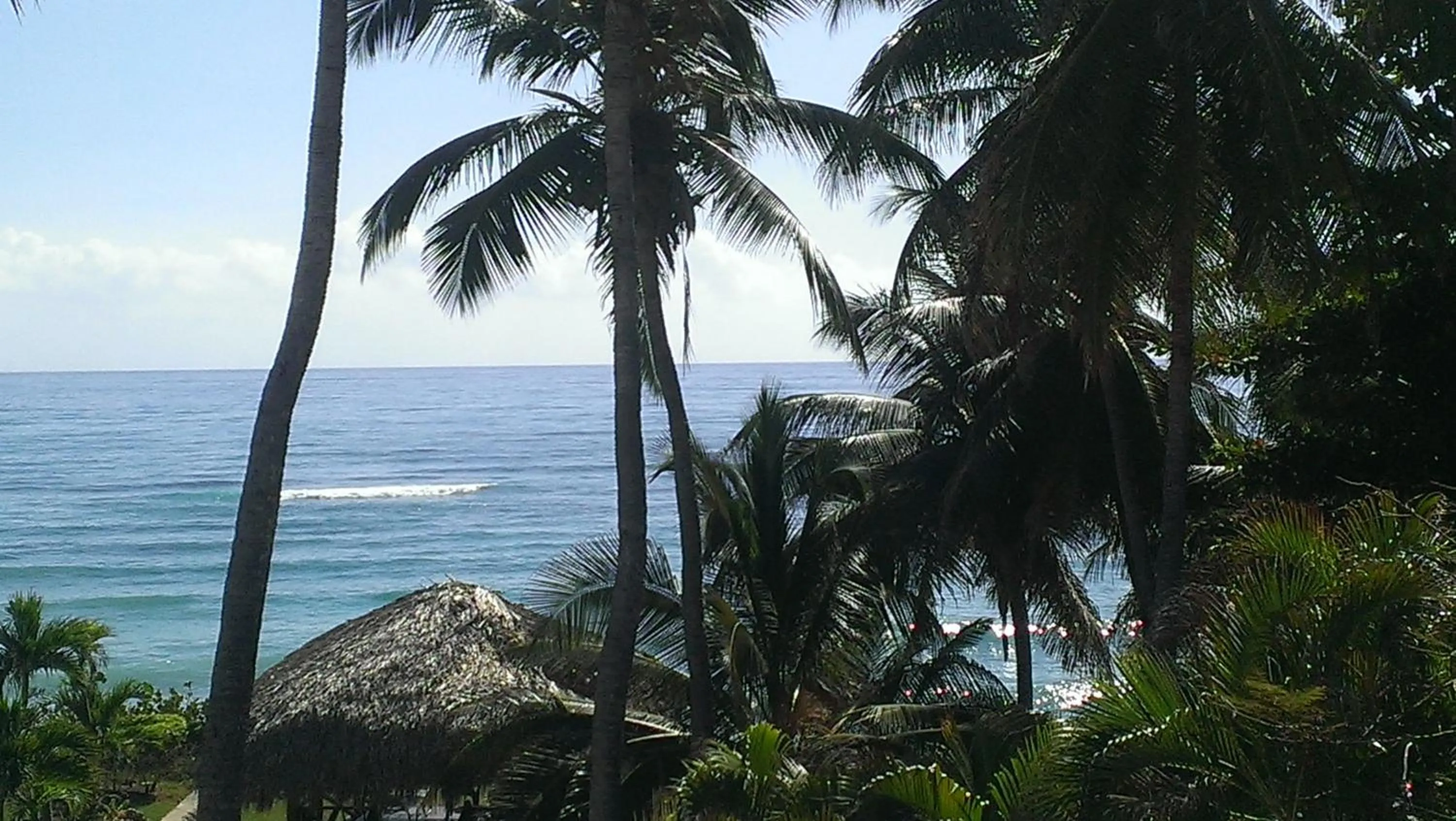 Natural landscape in Hotel El Quemaito - Luxury Oceanfront Retreat