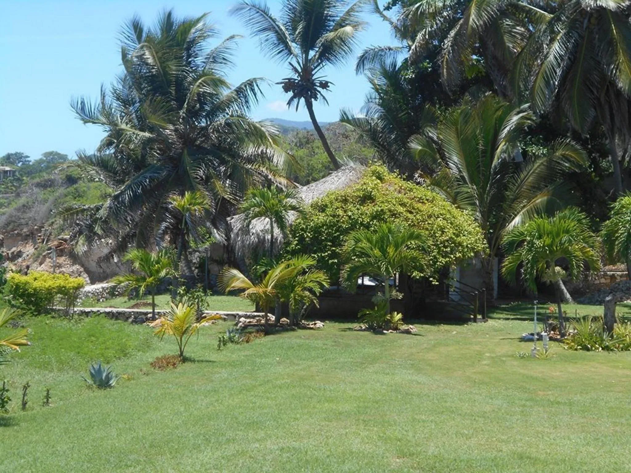 Natural landscape in Hotel El Quemaito - Luxury Oceanfront Retreat