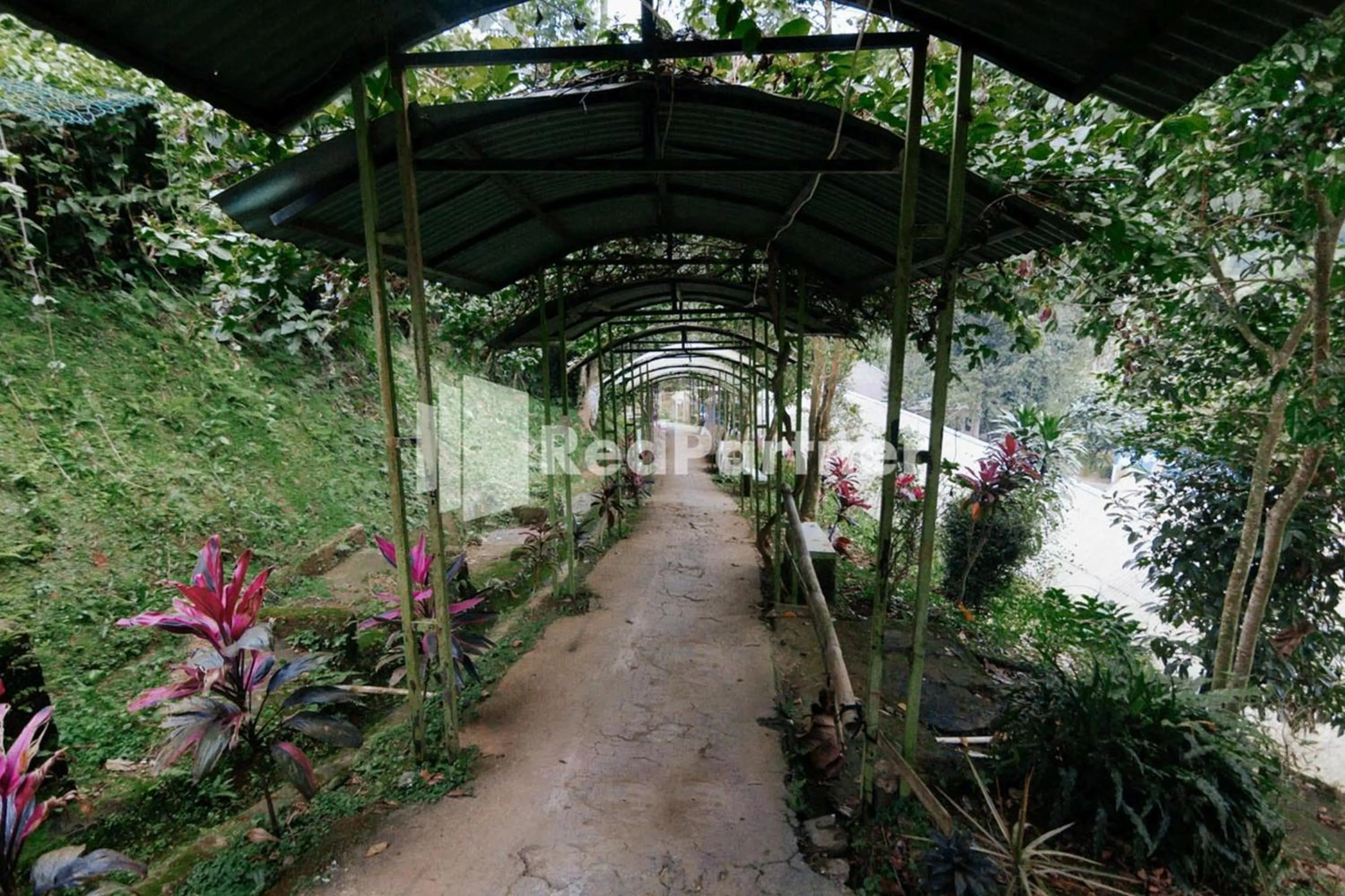 Garden in Pesona Endah Alam Hijau Wanayasa RedPartner