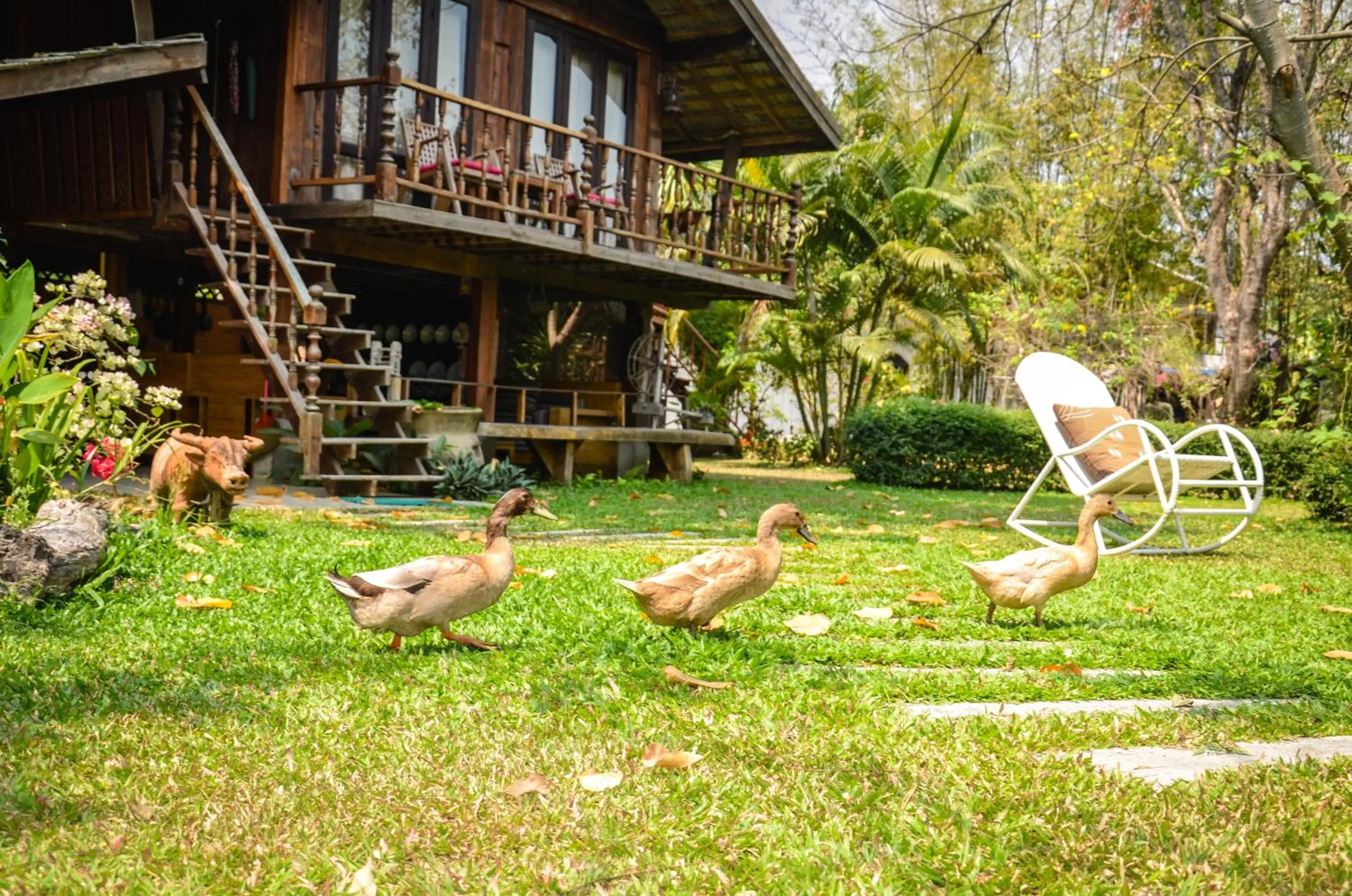 Pets in Rice Barn And Rooms