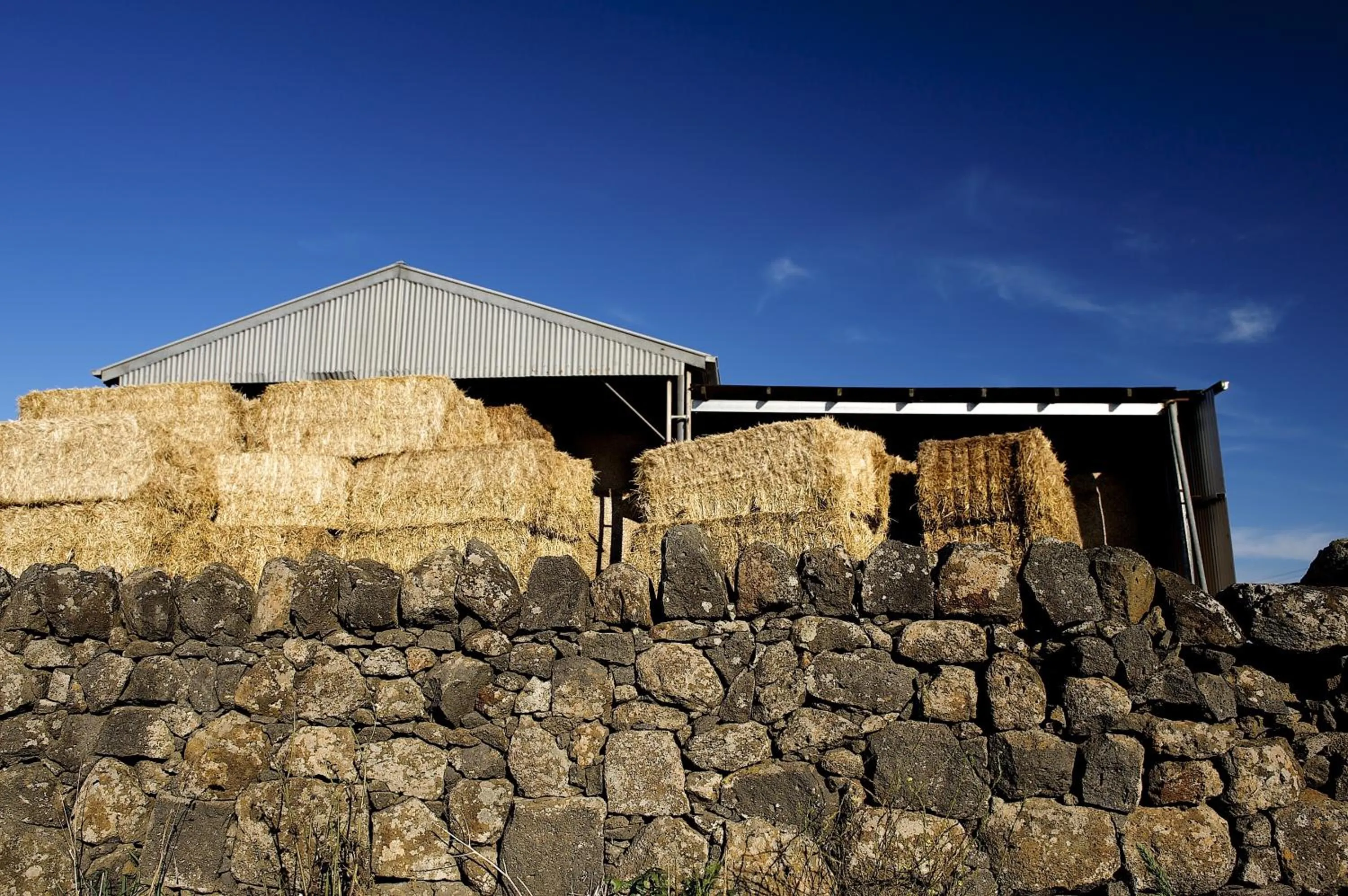 Neighbourhood in Lakes and Craters Holiday Park