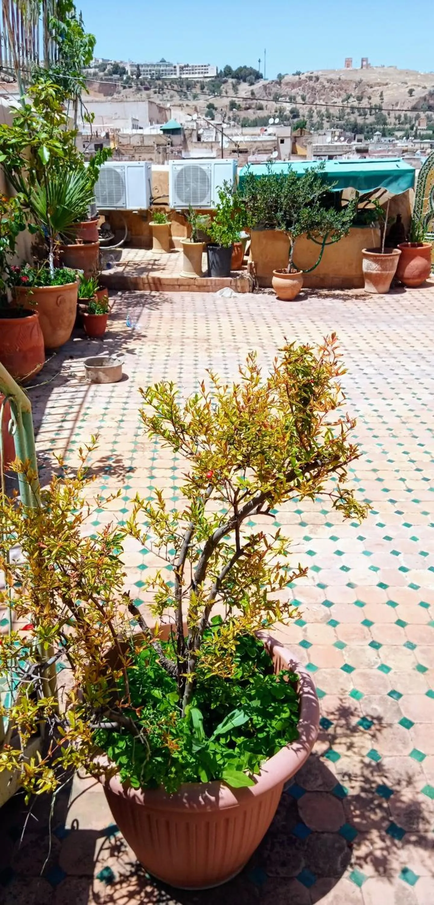 Property building in Riad Rchacha