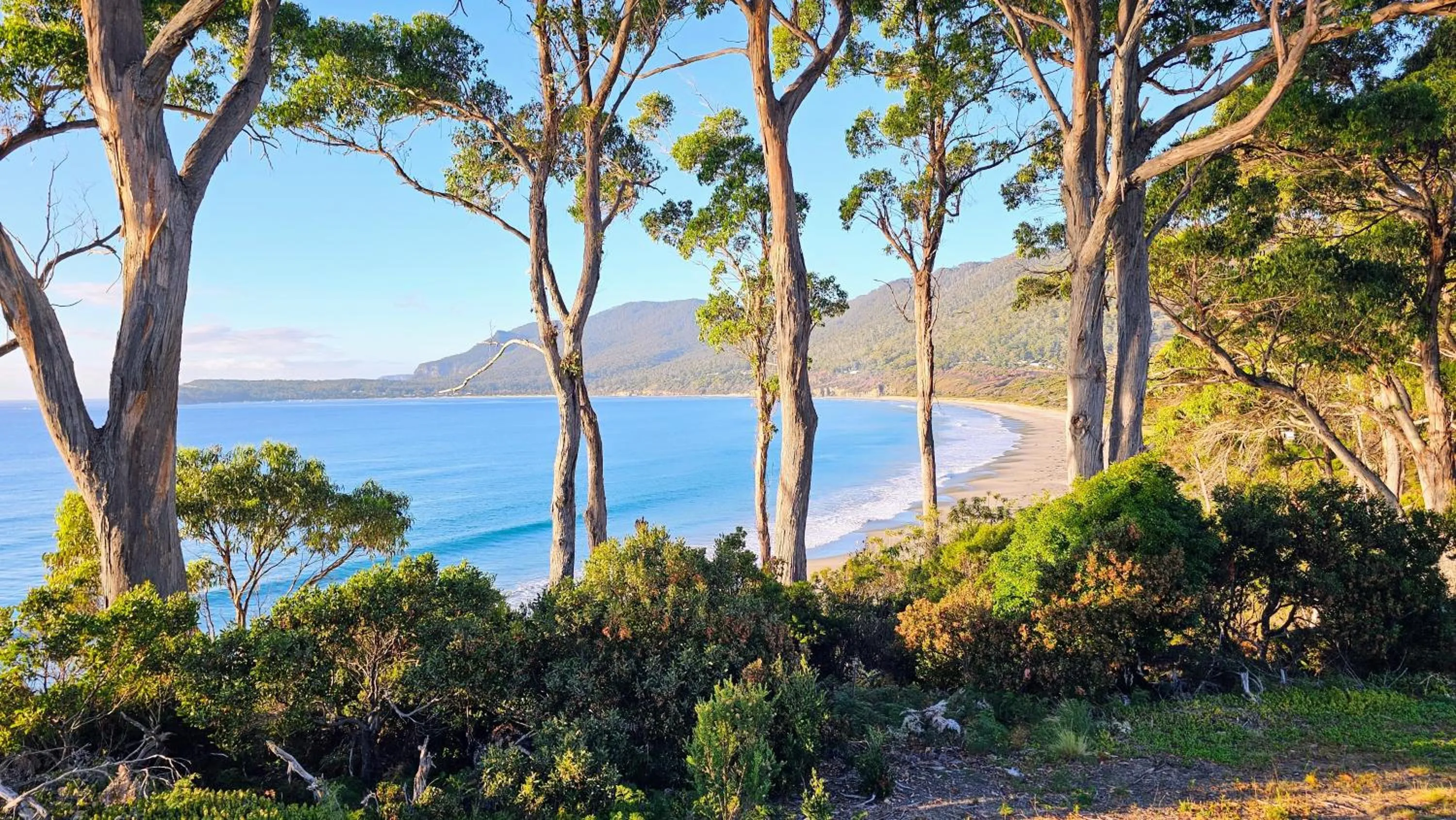 Natural landscape in Lufra Beachside Hotel