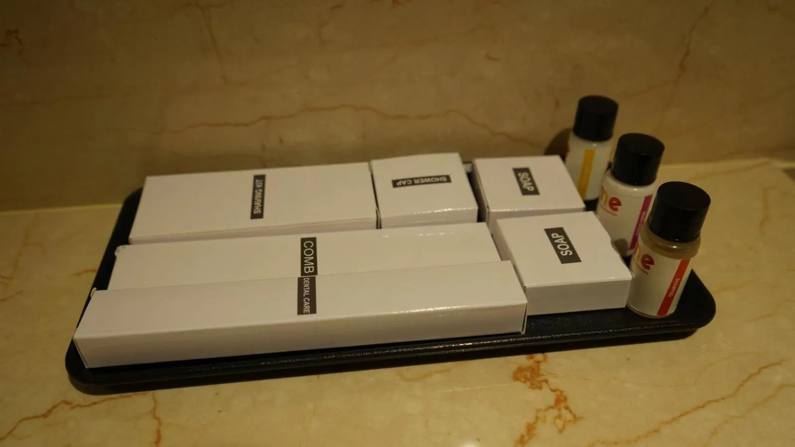 acessibility in Alaukik Hotel