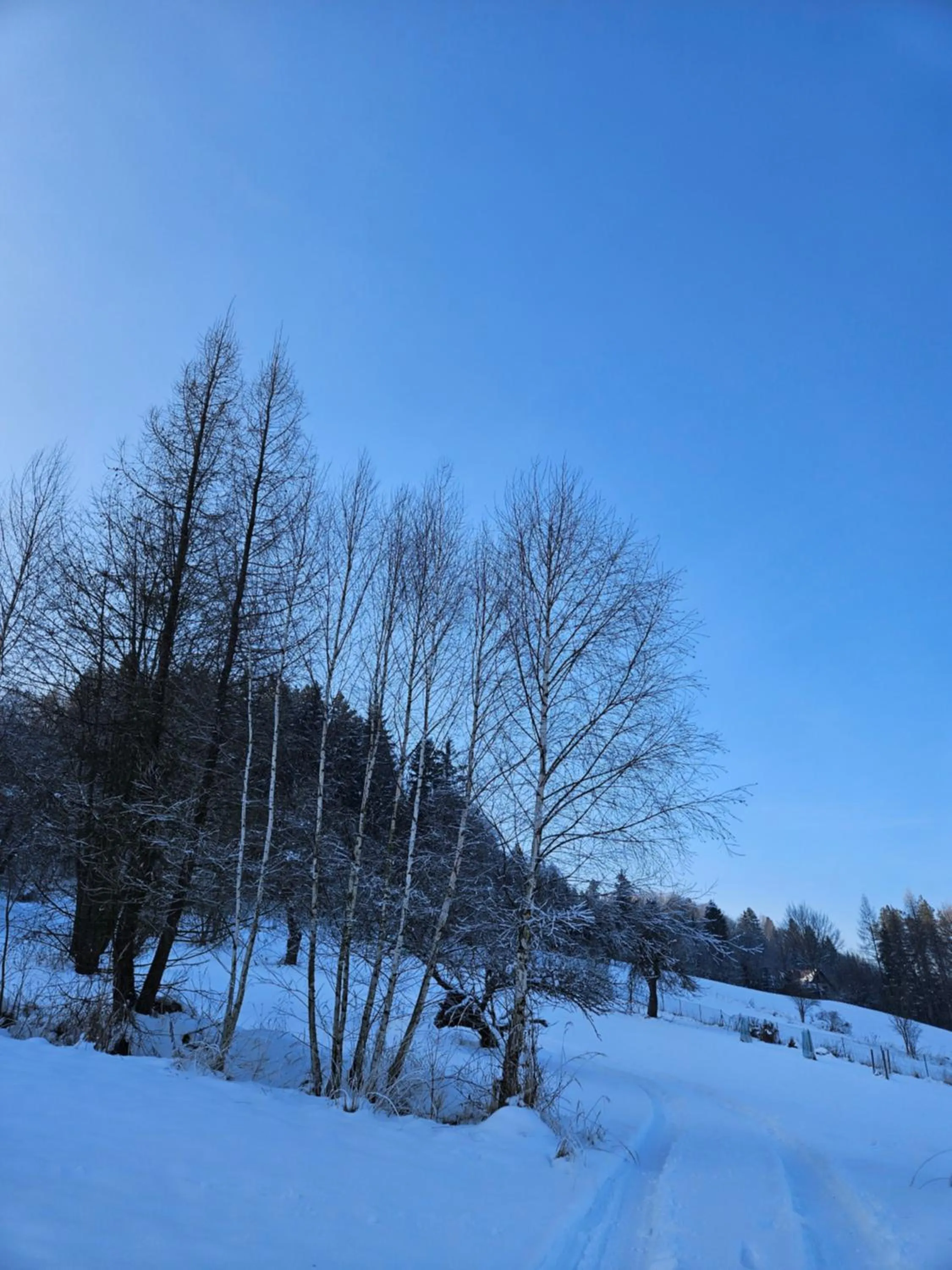Garden in Otulina Park