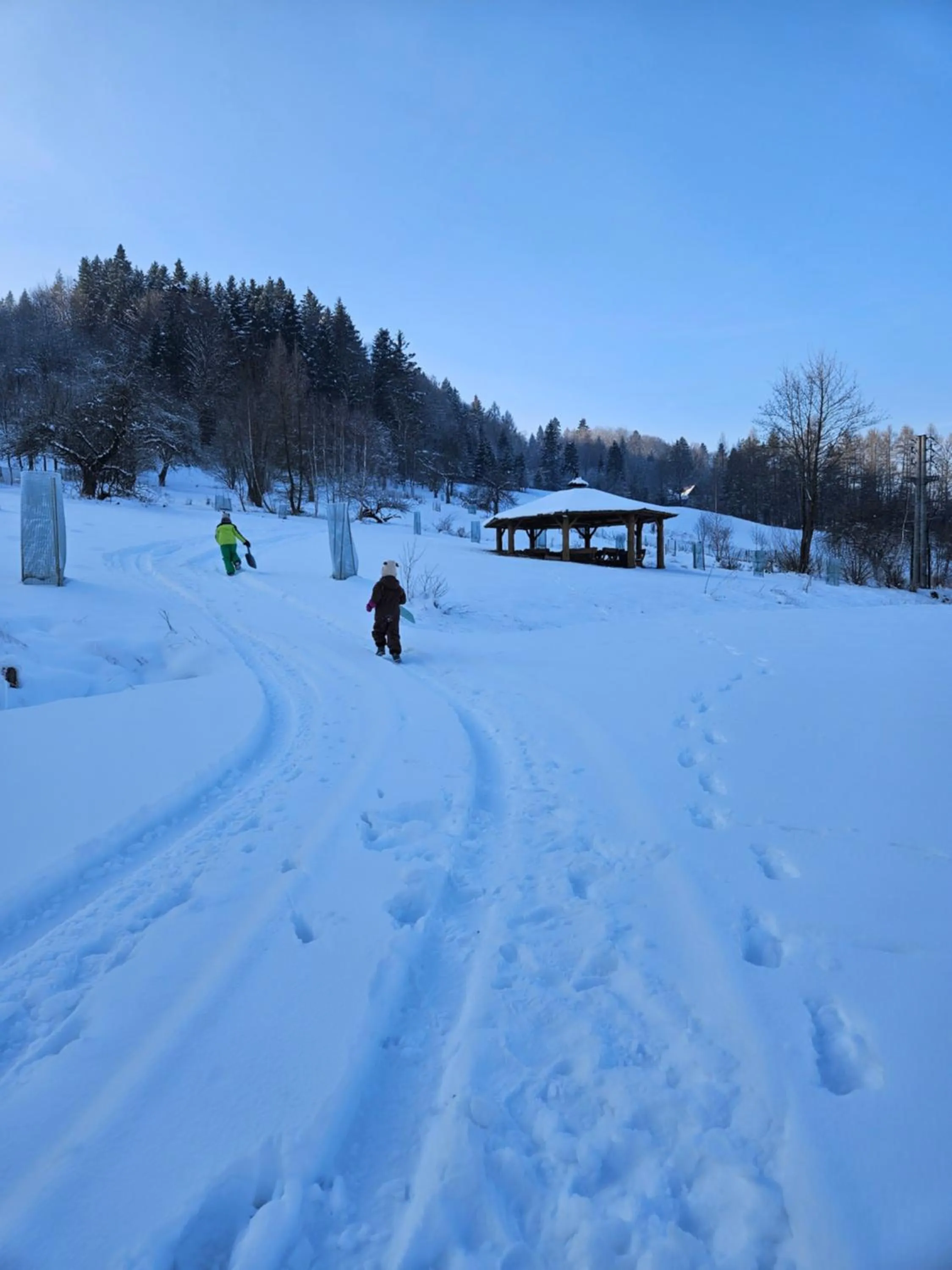 Winter in Otulina Park