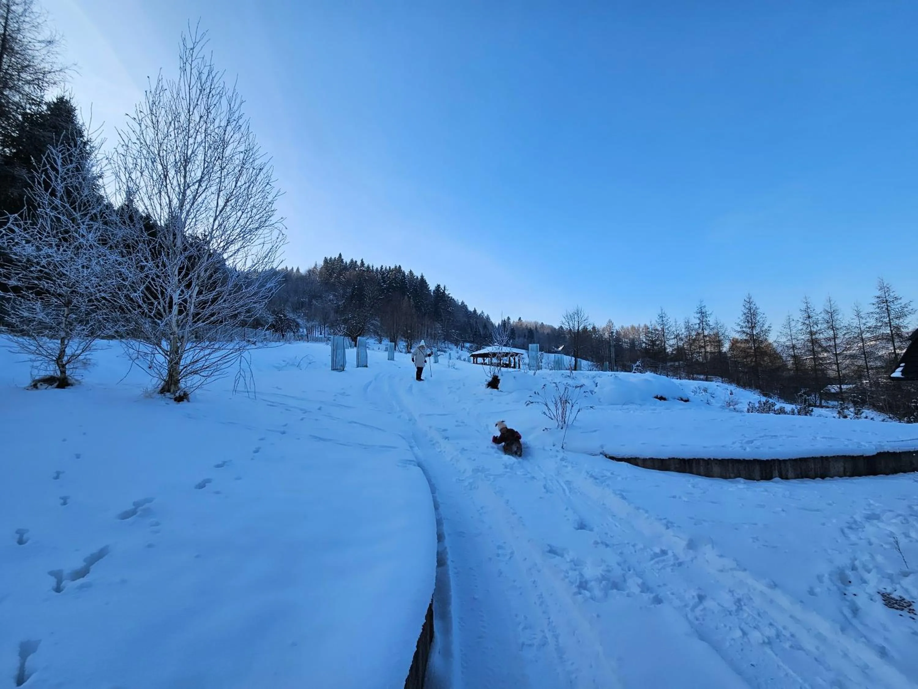 Garden in Otulina Park