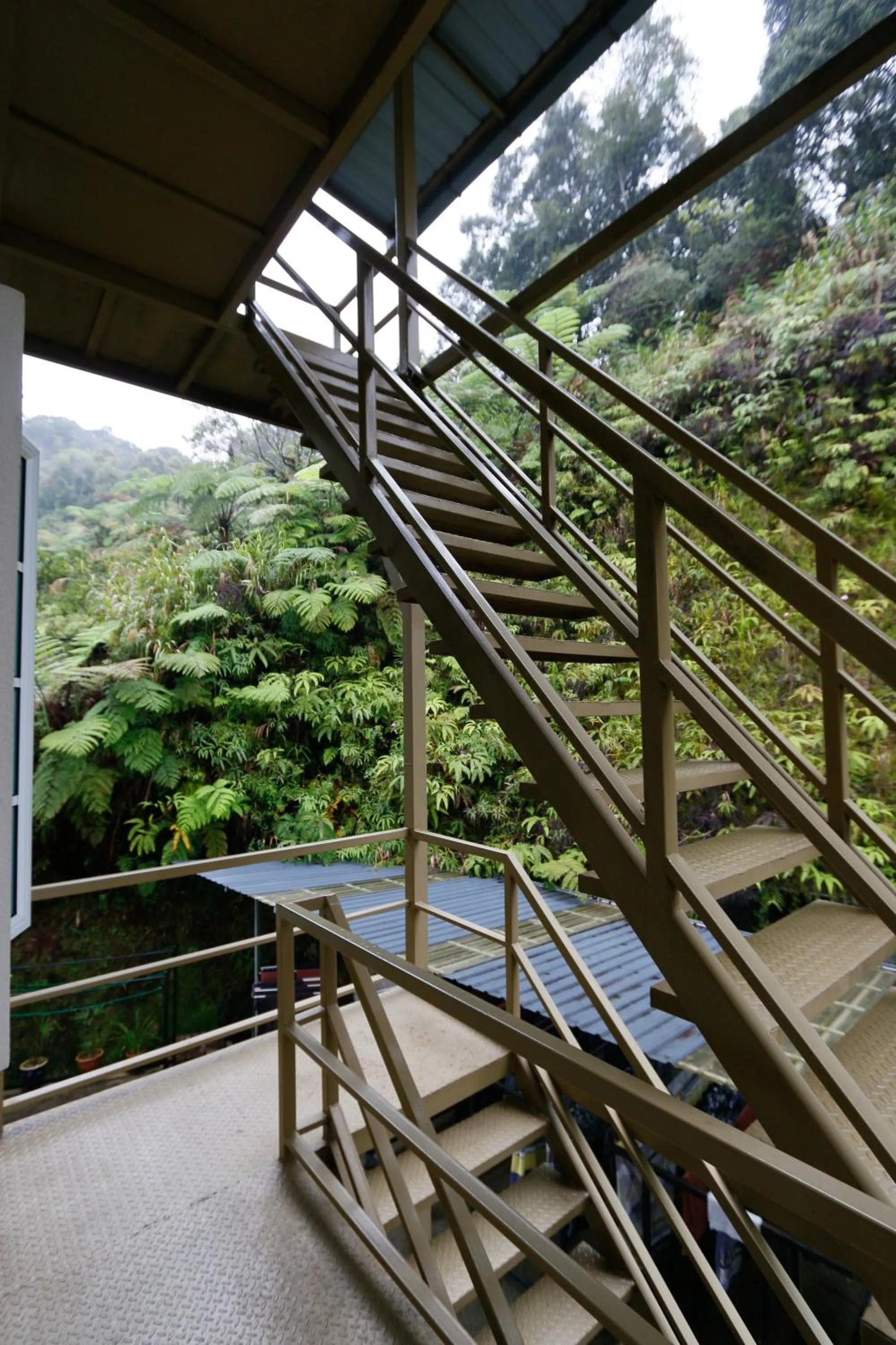 Area and facilities in Golden Lodge