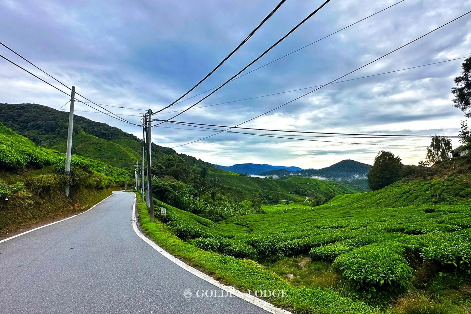 Nearby landmark in Golden Lodge