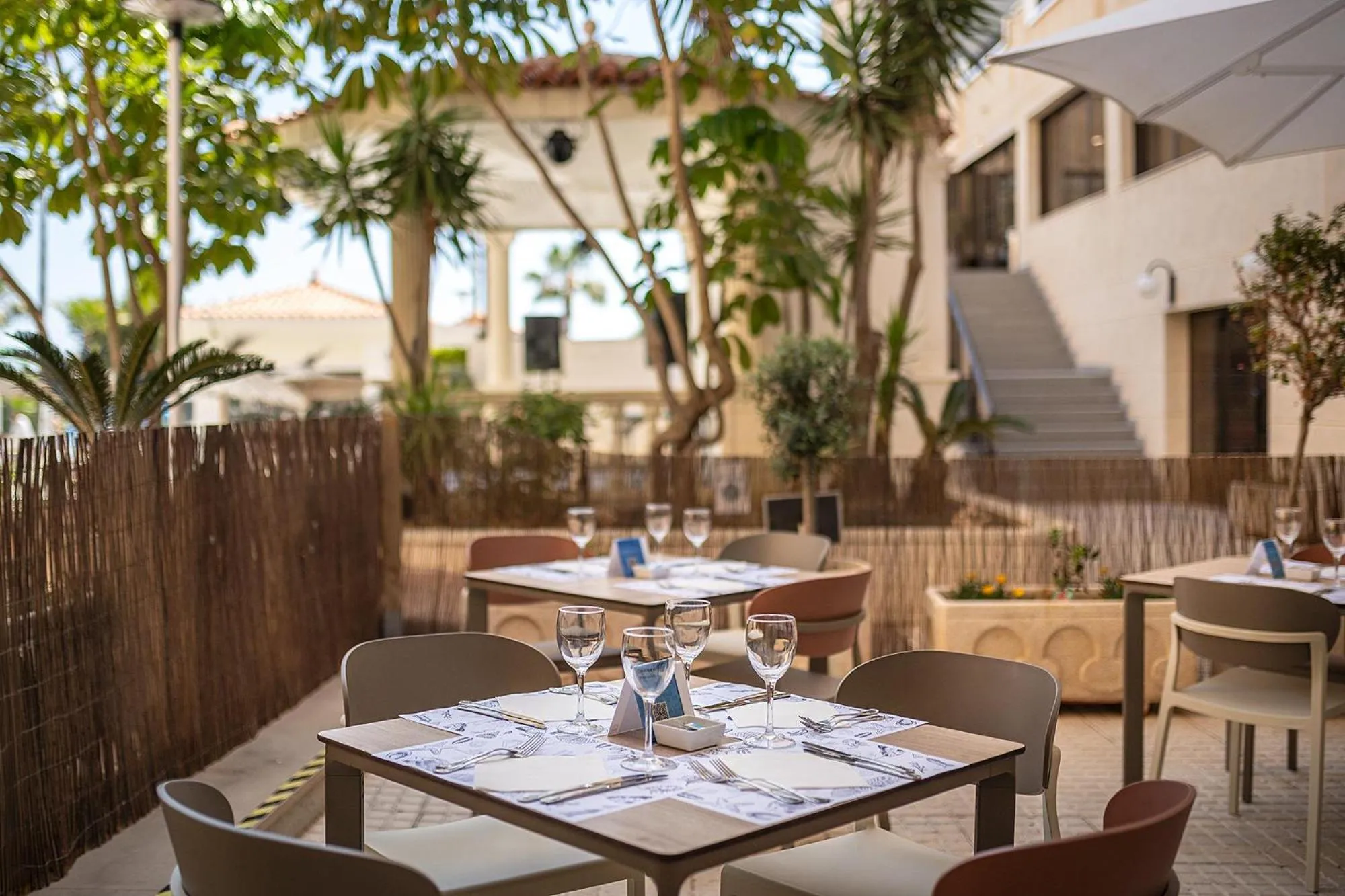 Restaurant/places to eat in Hotel Playas de Torrevieja