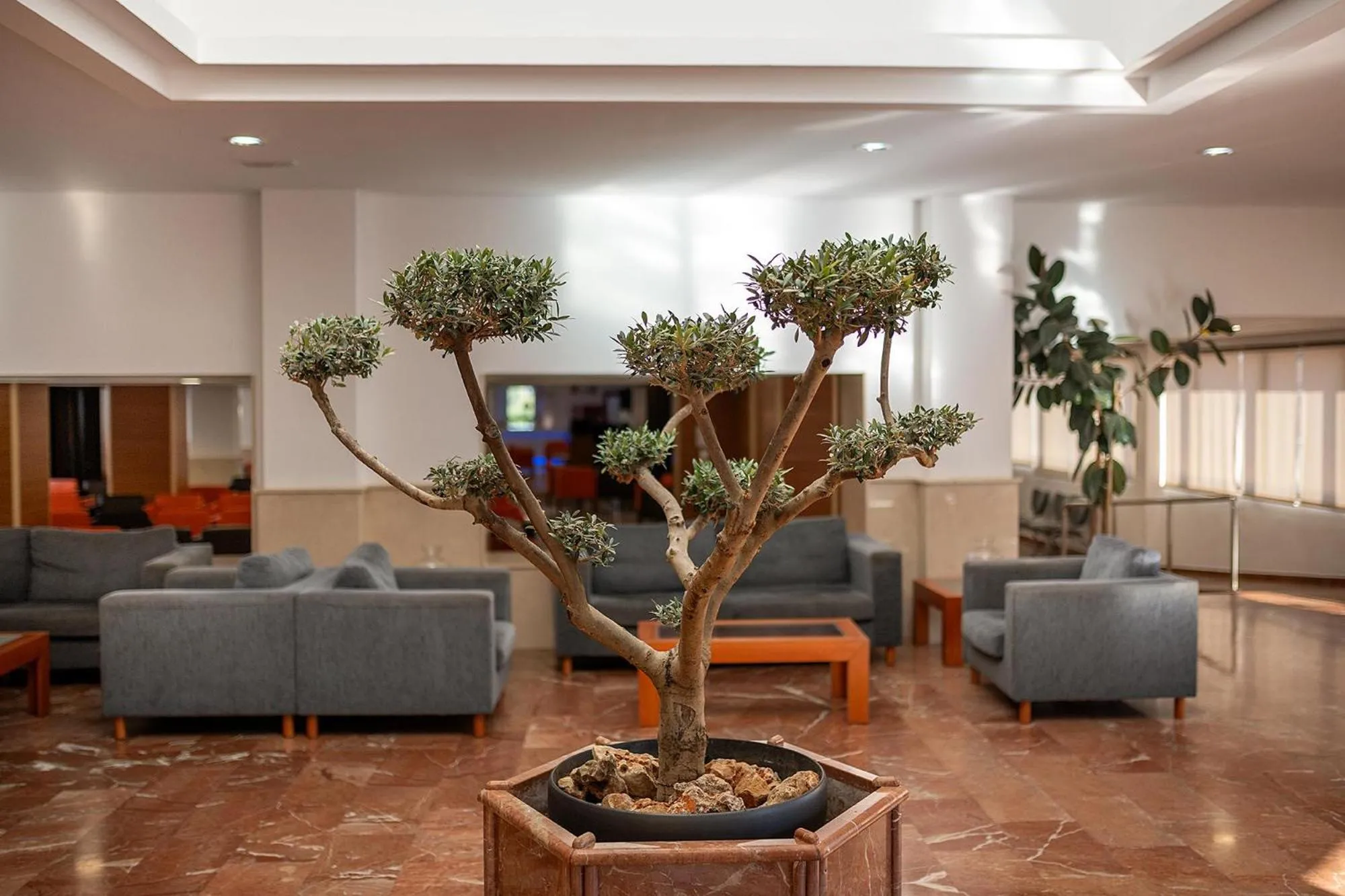 Lobby or reception in Hotel Playas de Torrevieja