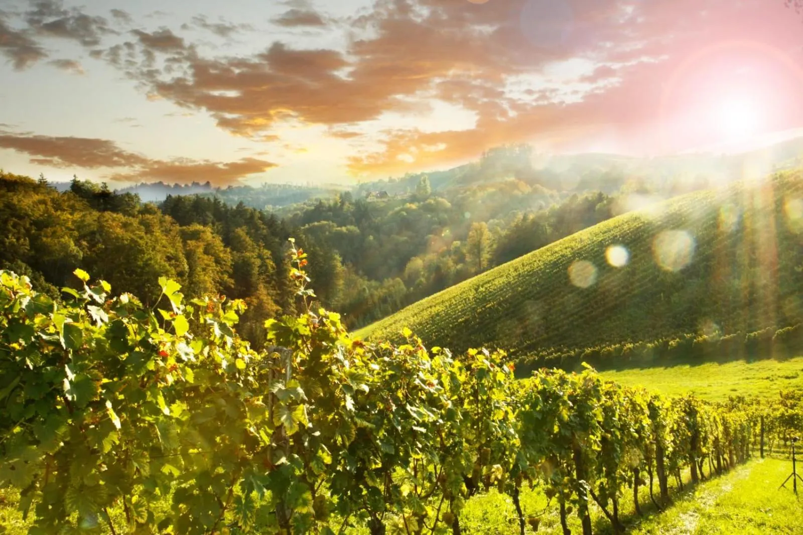 Appartement Fam.Kremser