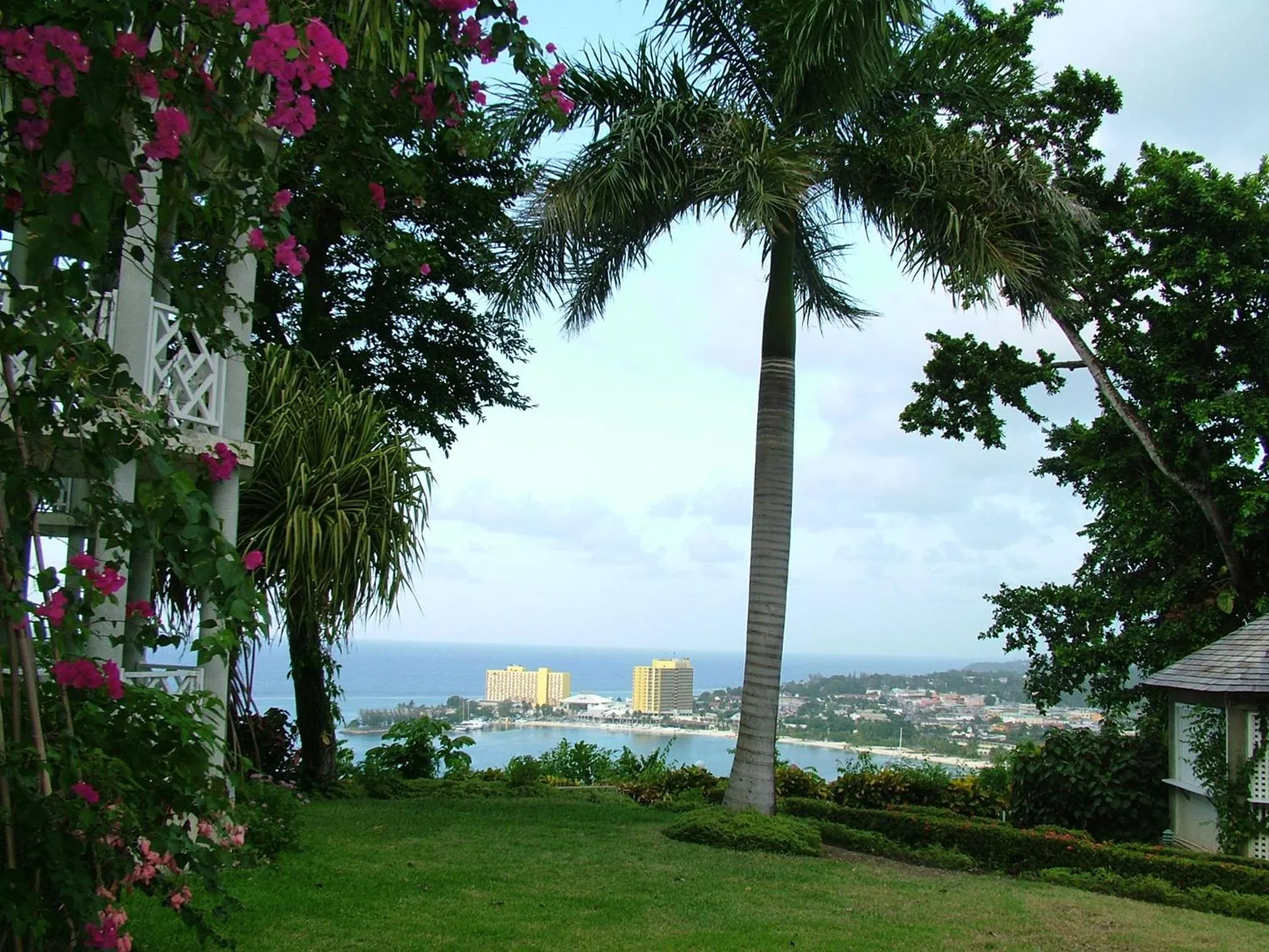 Garden in Sky Castles